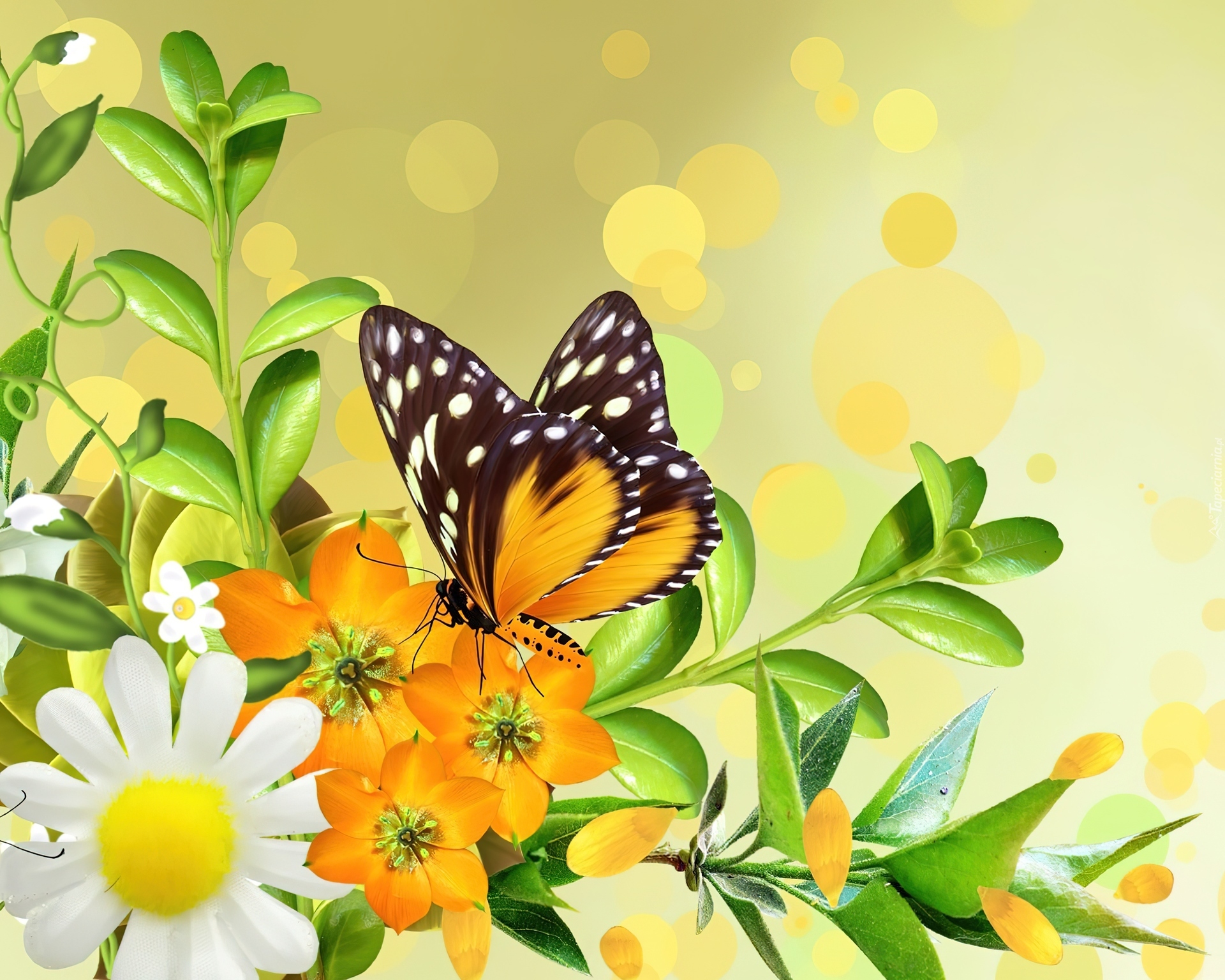 Żółte, Kwiaty, Motyl, Art
