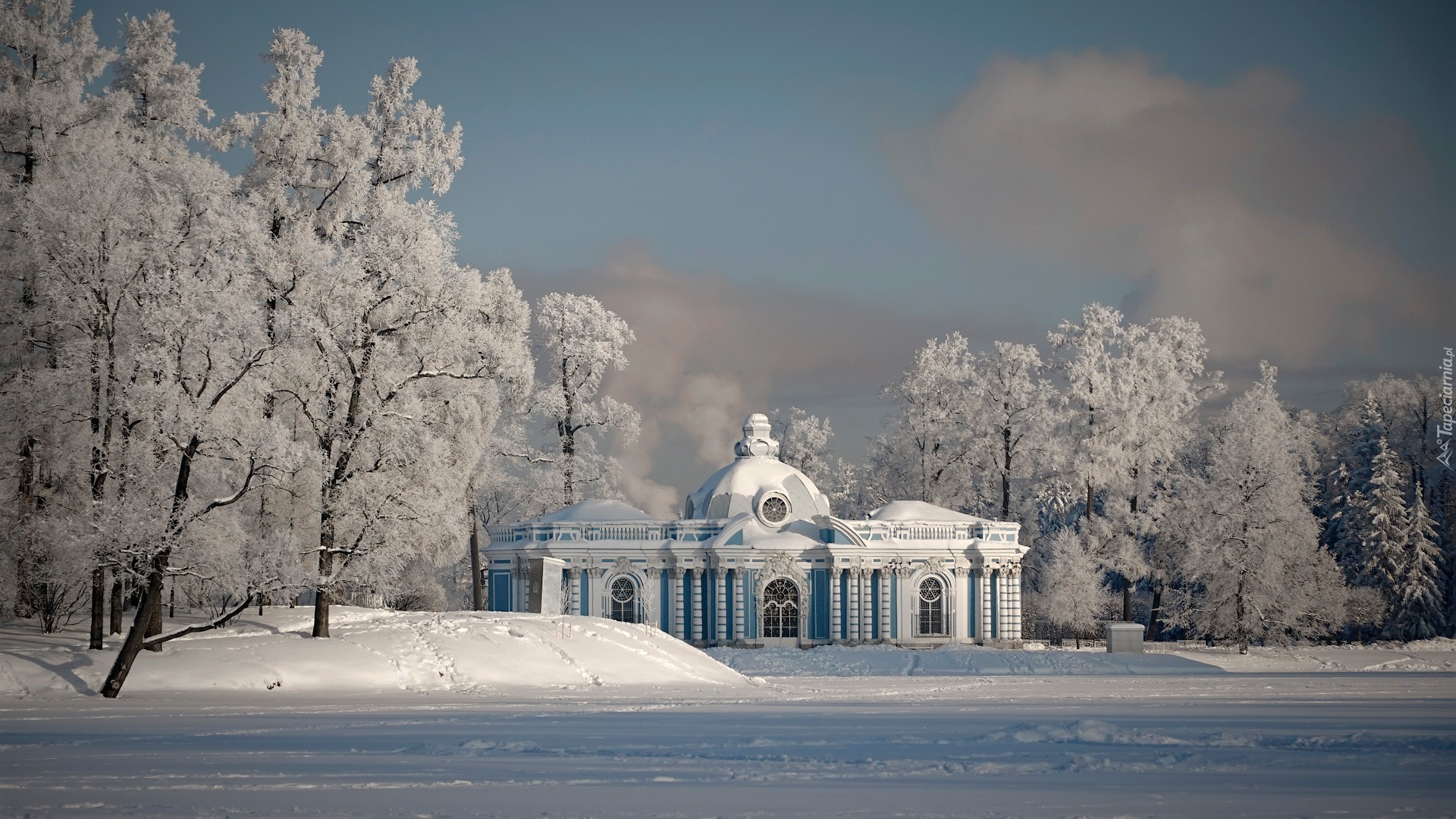 Carskie Sioło, Pałac, Letni, Park, Zima