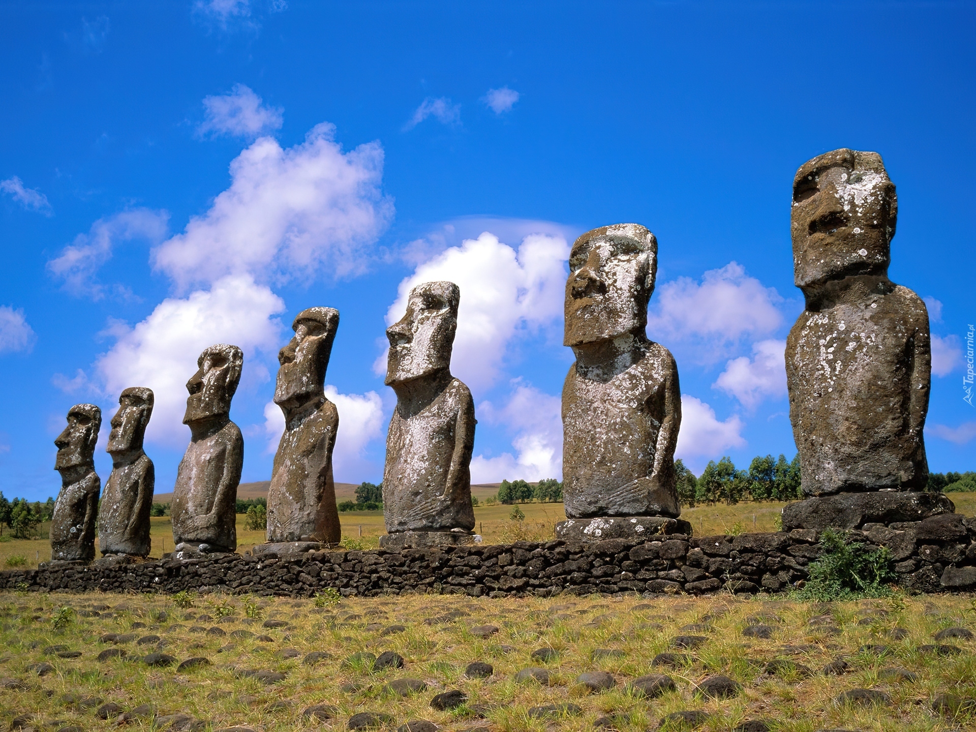 Posągi, Moai, Wyspa Wielkanocna