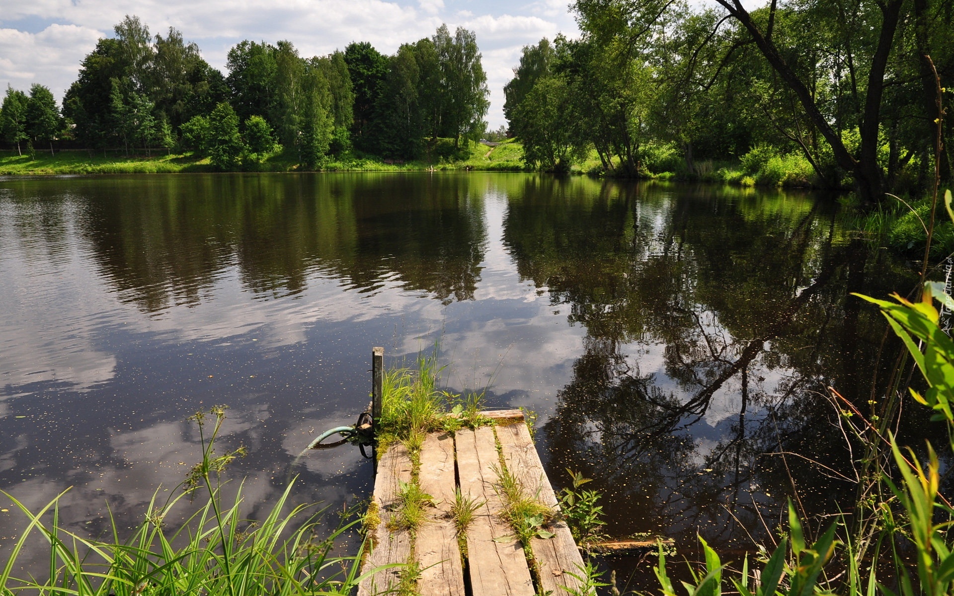 Jezioro, Kładka, Drzewa