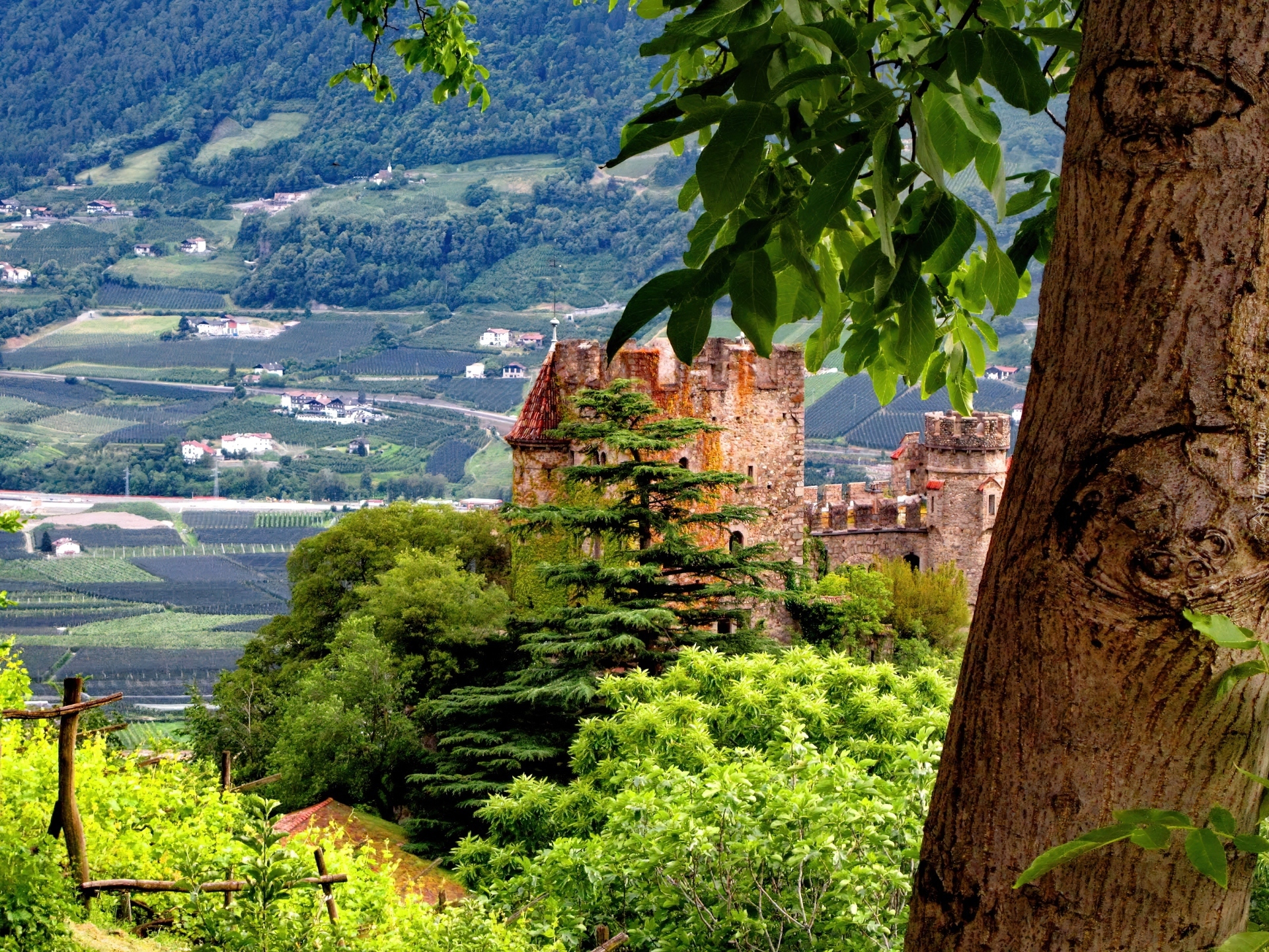 Ruiny, Zamek, Panorama