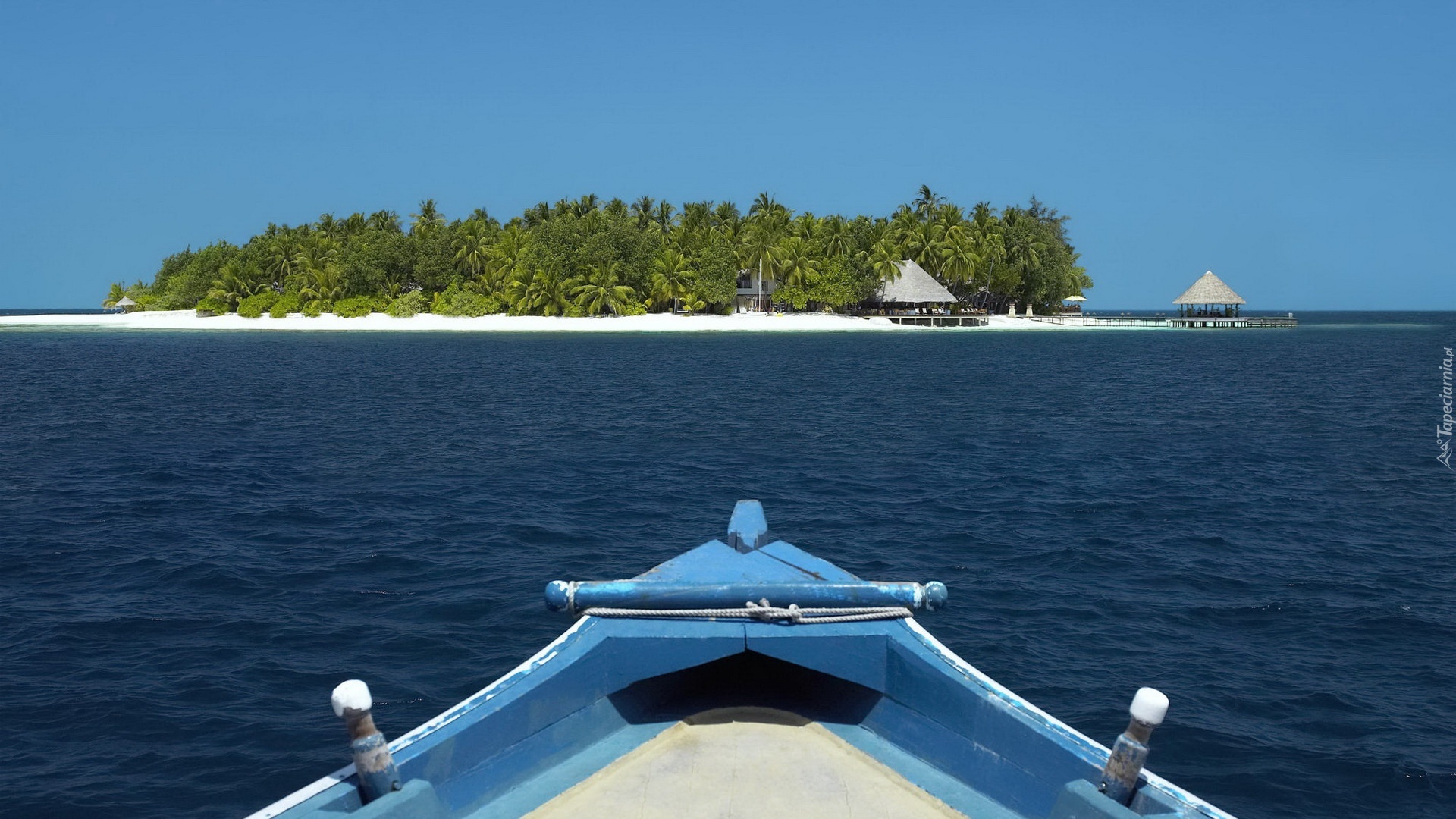 Tropik, Ocean, Wyspa
