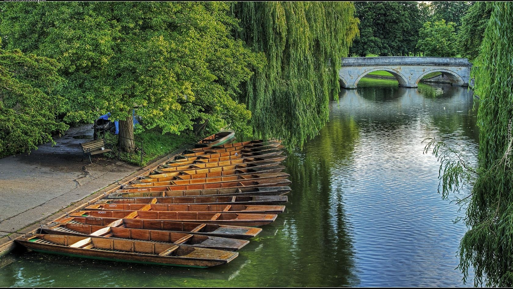 Park, Łódki, Rzeka, Most