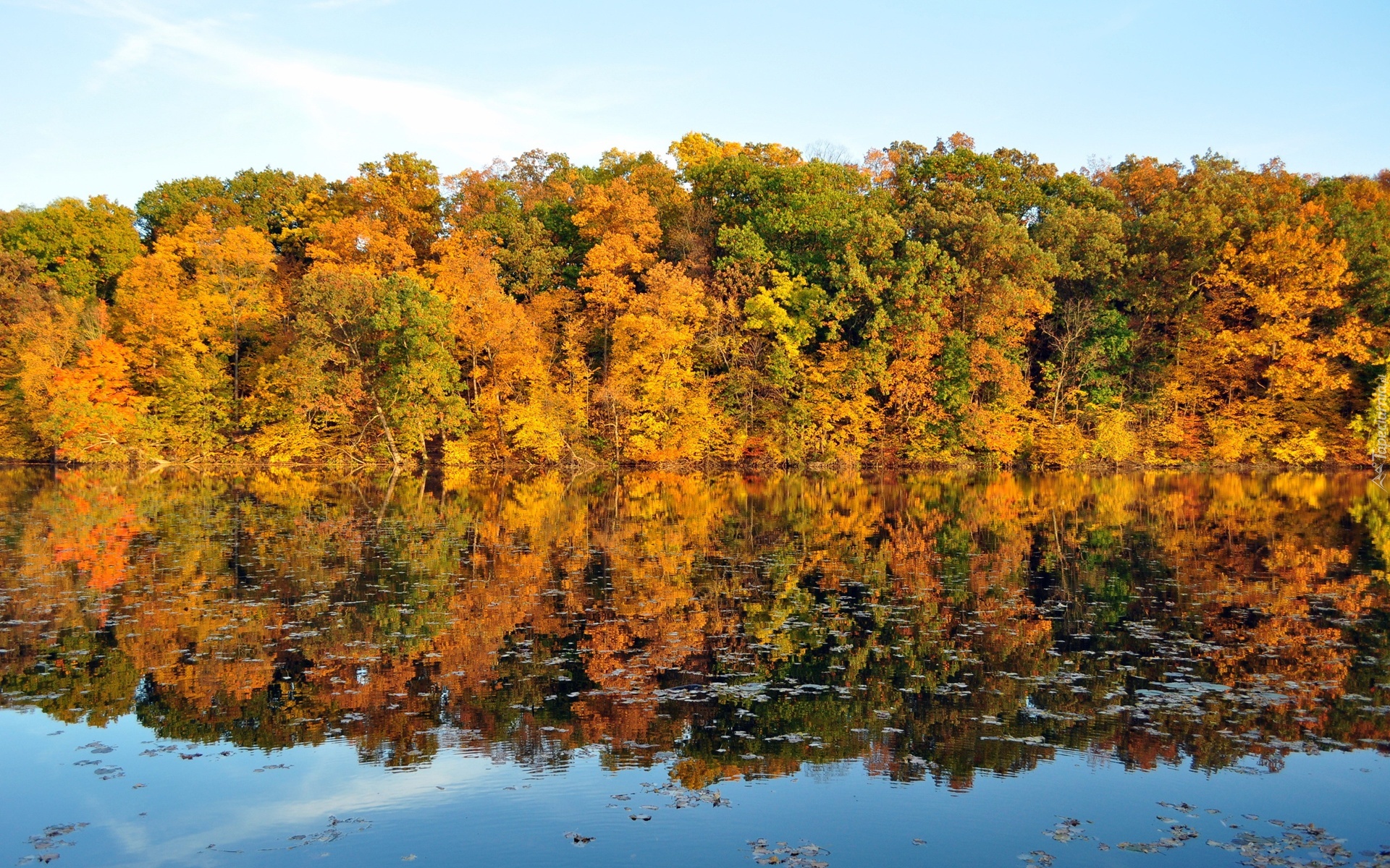 Jezioro, Drzewa, Odbicie