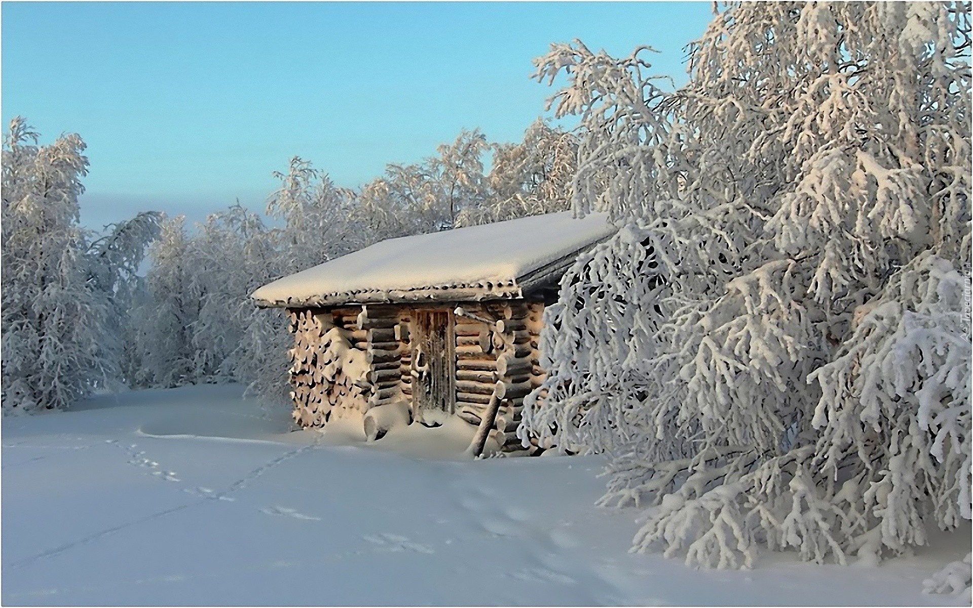 Piękna, Zima, Domek, Ośnieżone, Drzewa