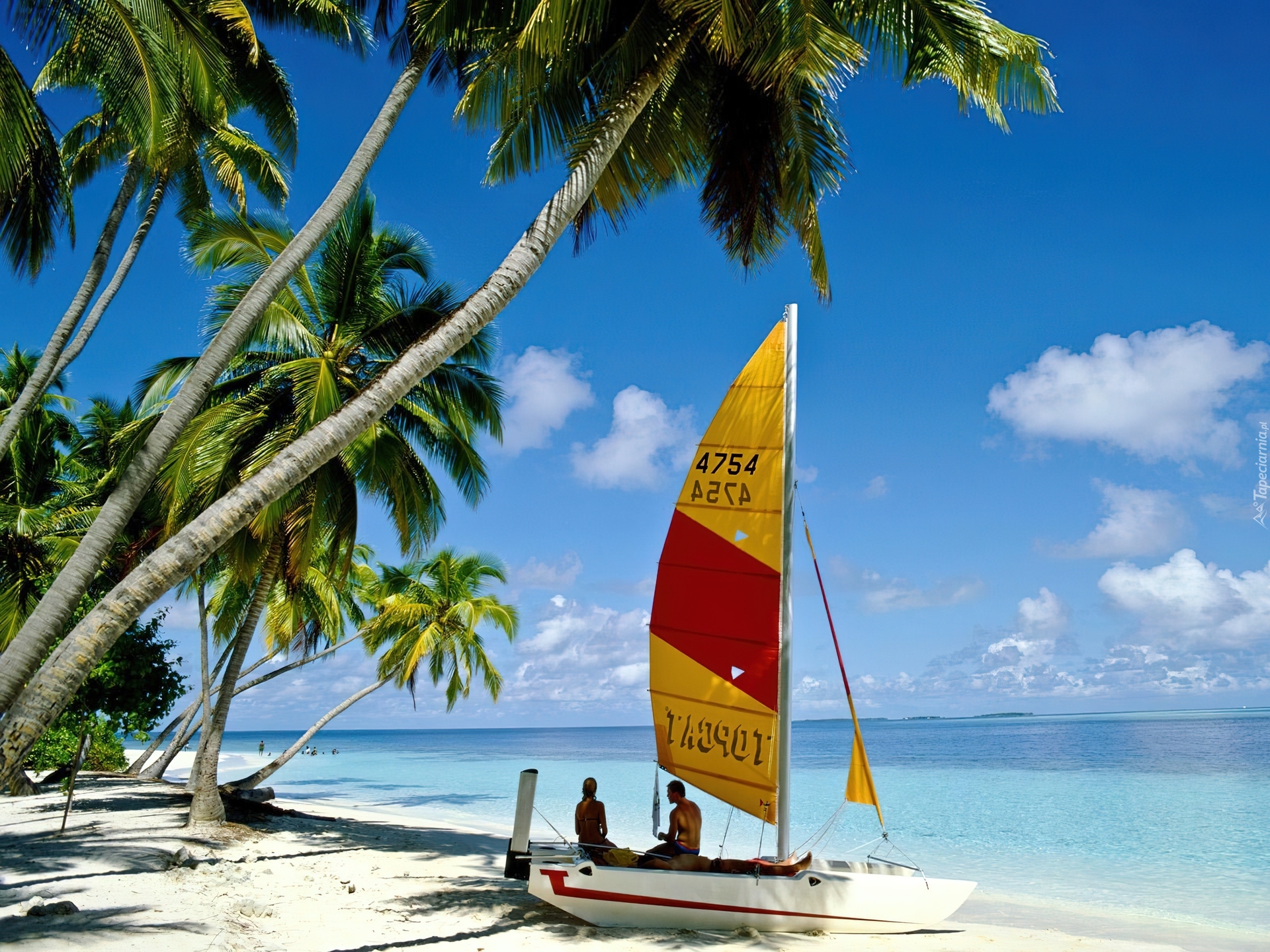 Солнце шри ланки. Море пальмы. Пляж с пальмами. Море пальмы яхта. Пальмы пляж корабль.