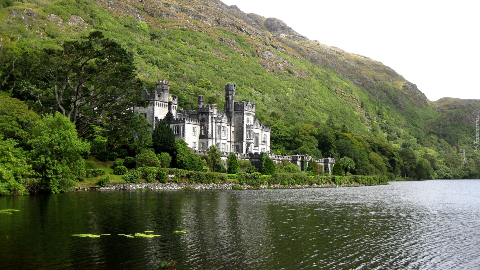 Zamek, Kylemore Abbey, Irlandia, Góry, Jezioro