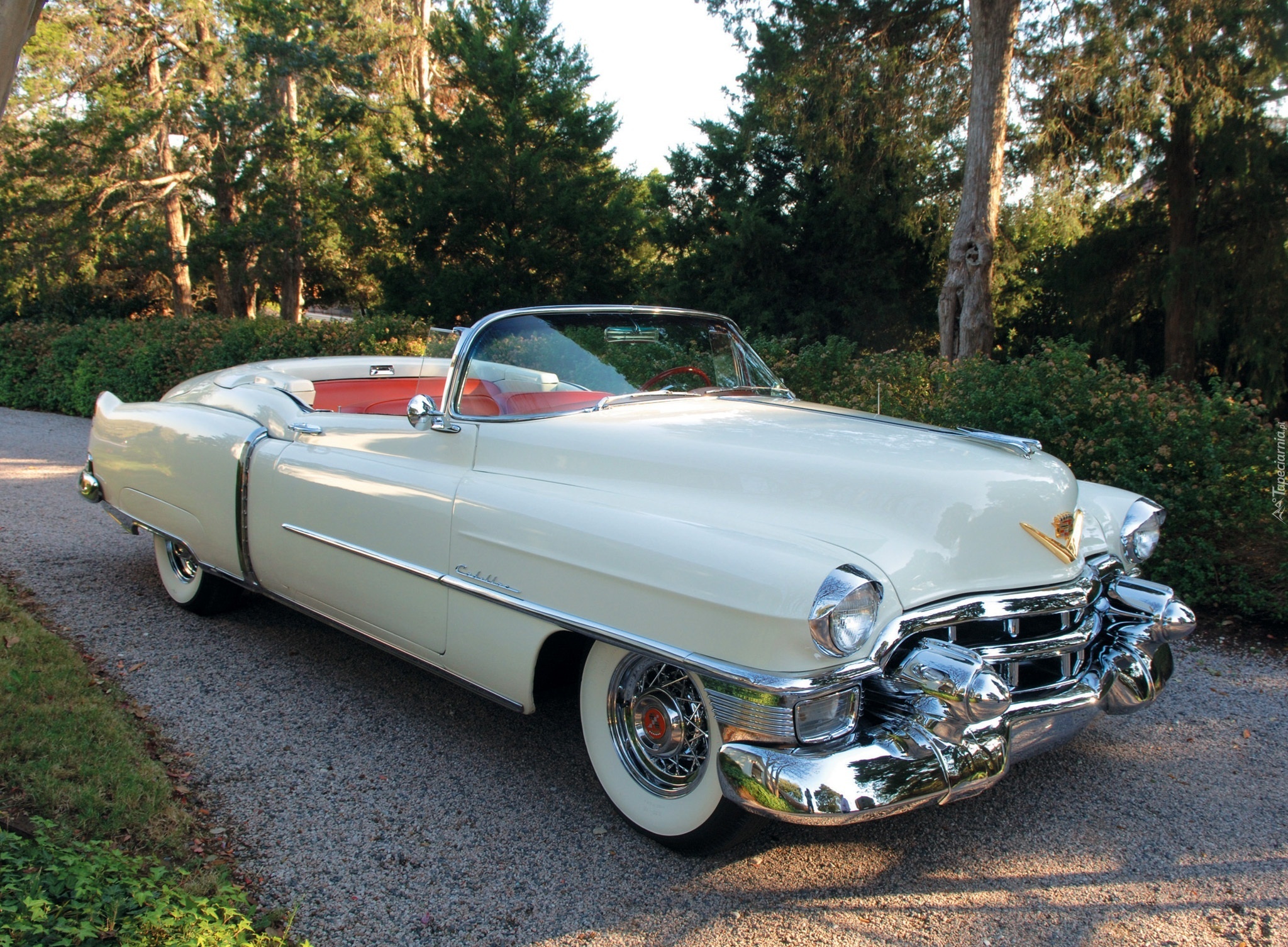Samochód Zabytkowy, Biały, Kabriolet, Cadillac Eldorado