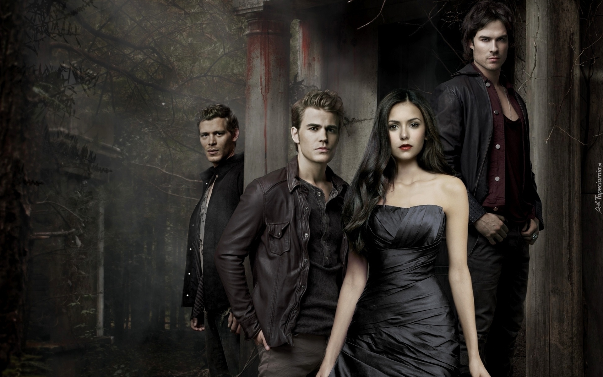 Pamiętniki wampirów, The Vampire Diaries, Joseph Morgan, Nina Dobrev, Paul Wesley, Ian Somerhalder