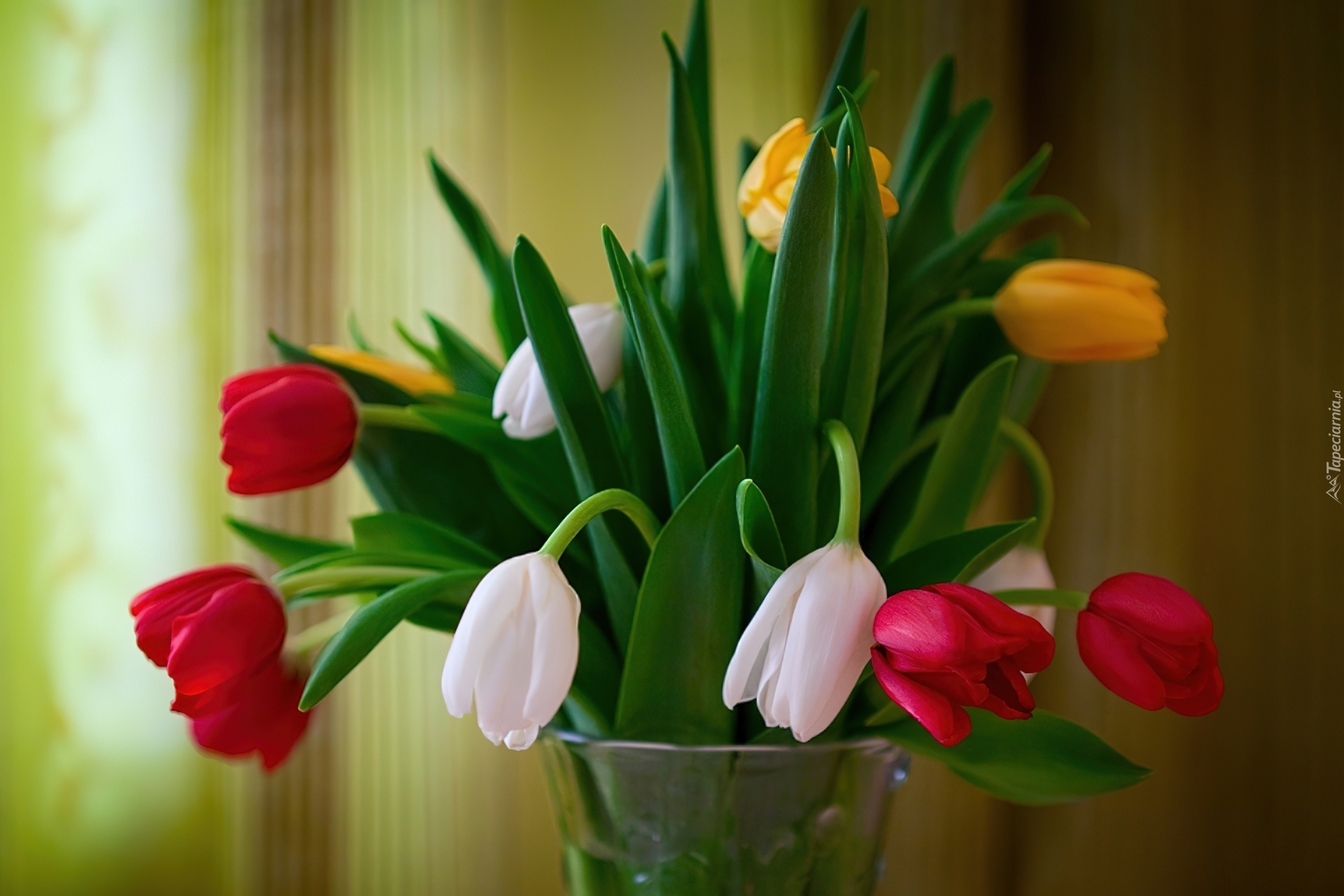 Kolorowe, Tulipany, Wazon
