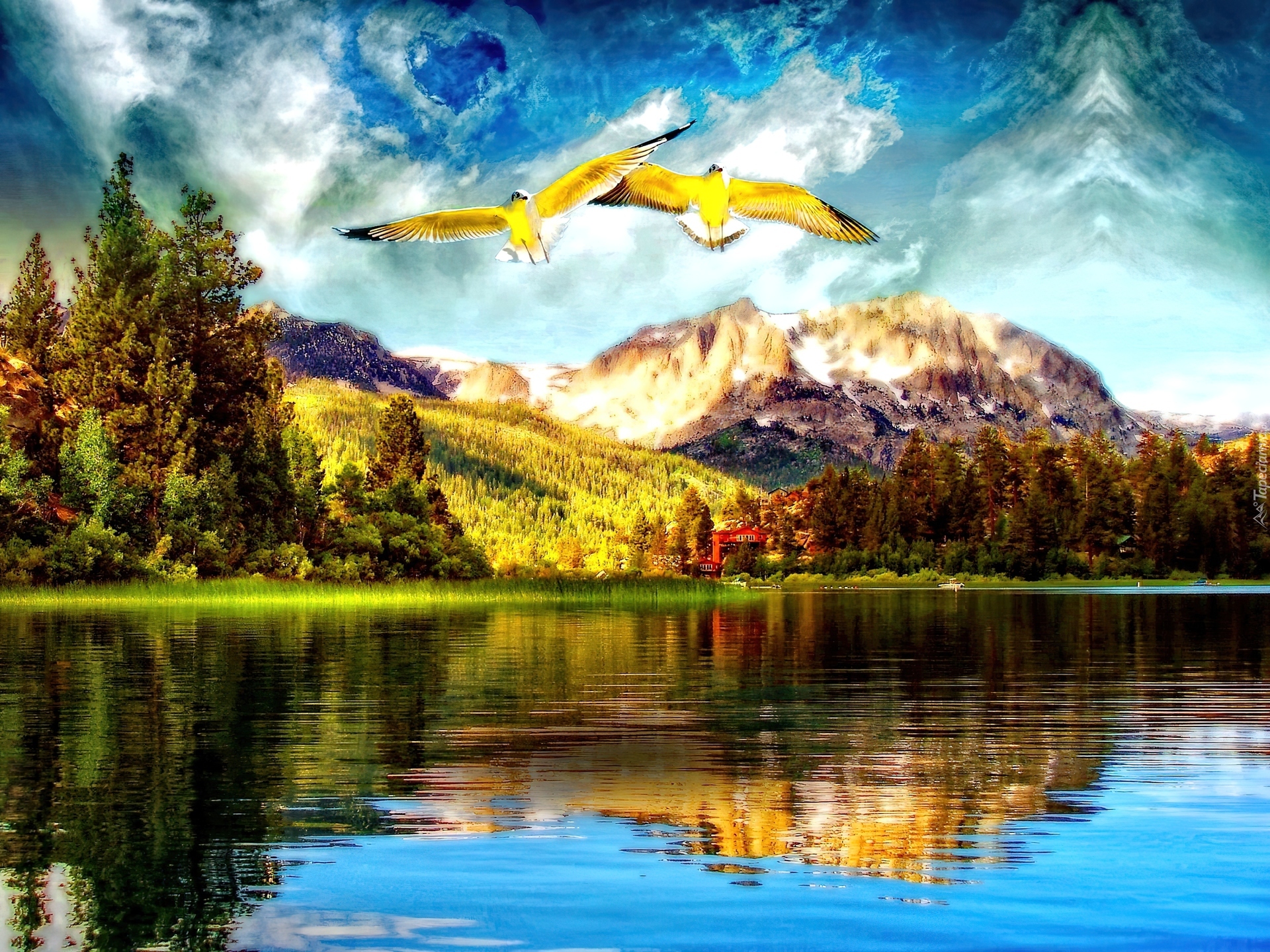 Góry, Jezioro, Ptaki