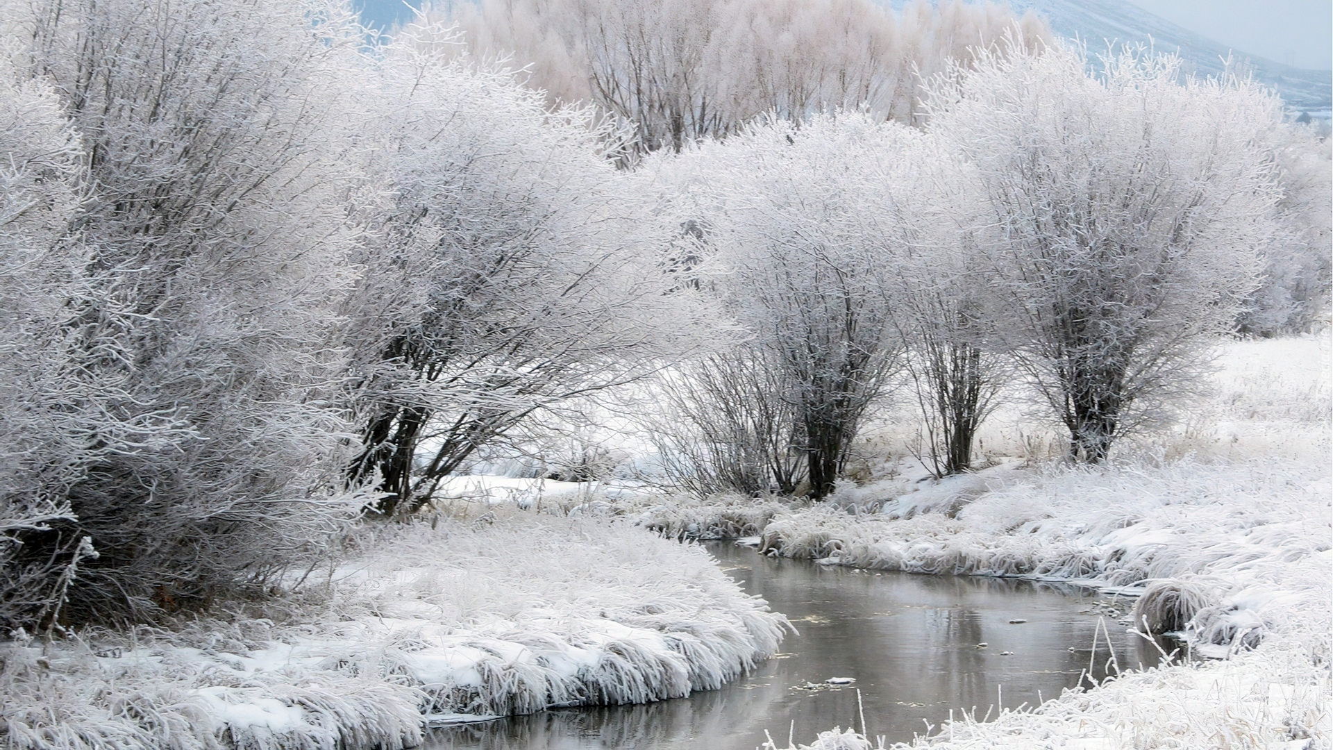 Zima, Rzeka, Drzewa, Szron