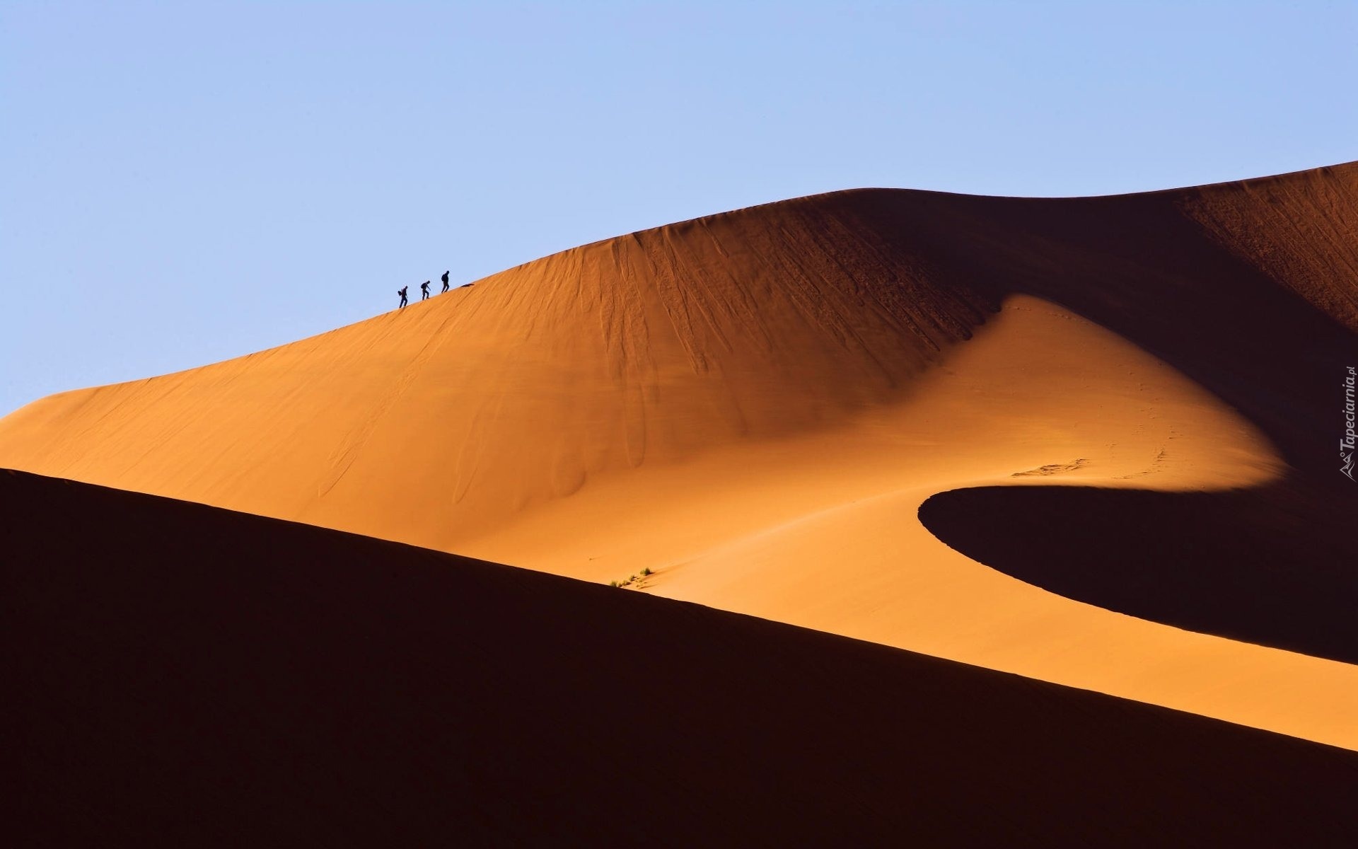 Pustynia, Namibia, Wydmy, Podróżnicy