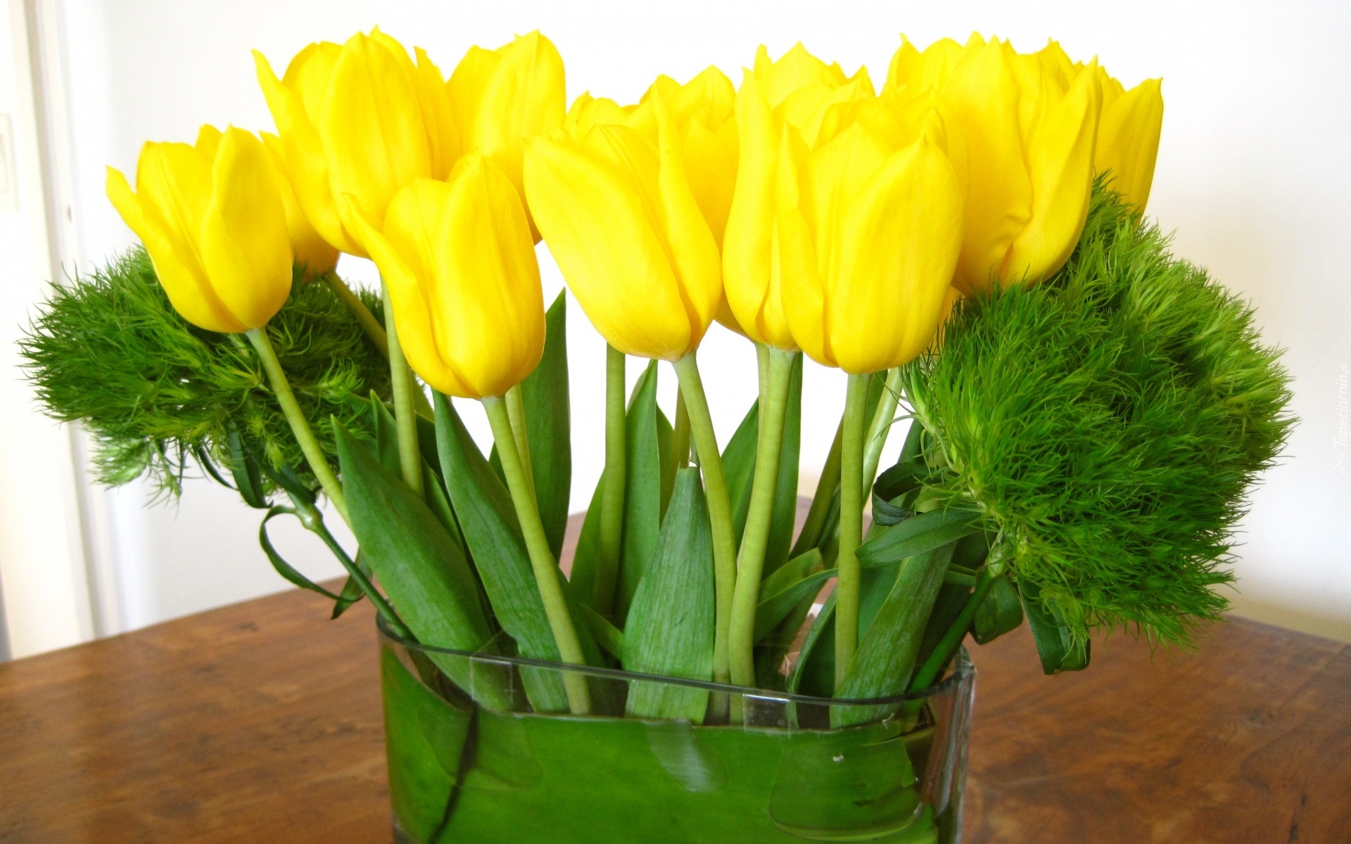 Żółte, Tulipany, Bukiet
