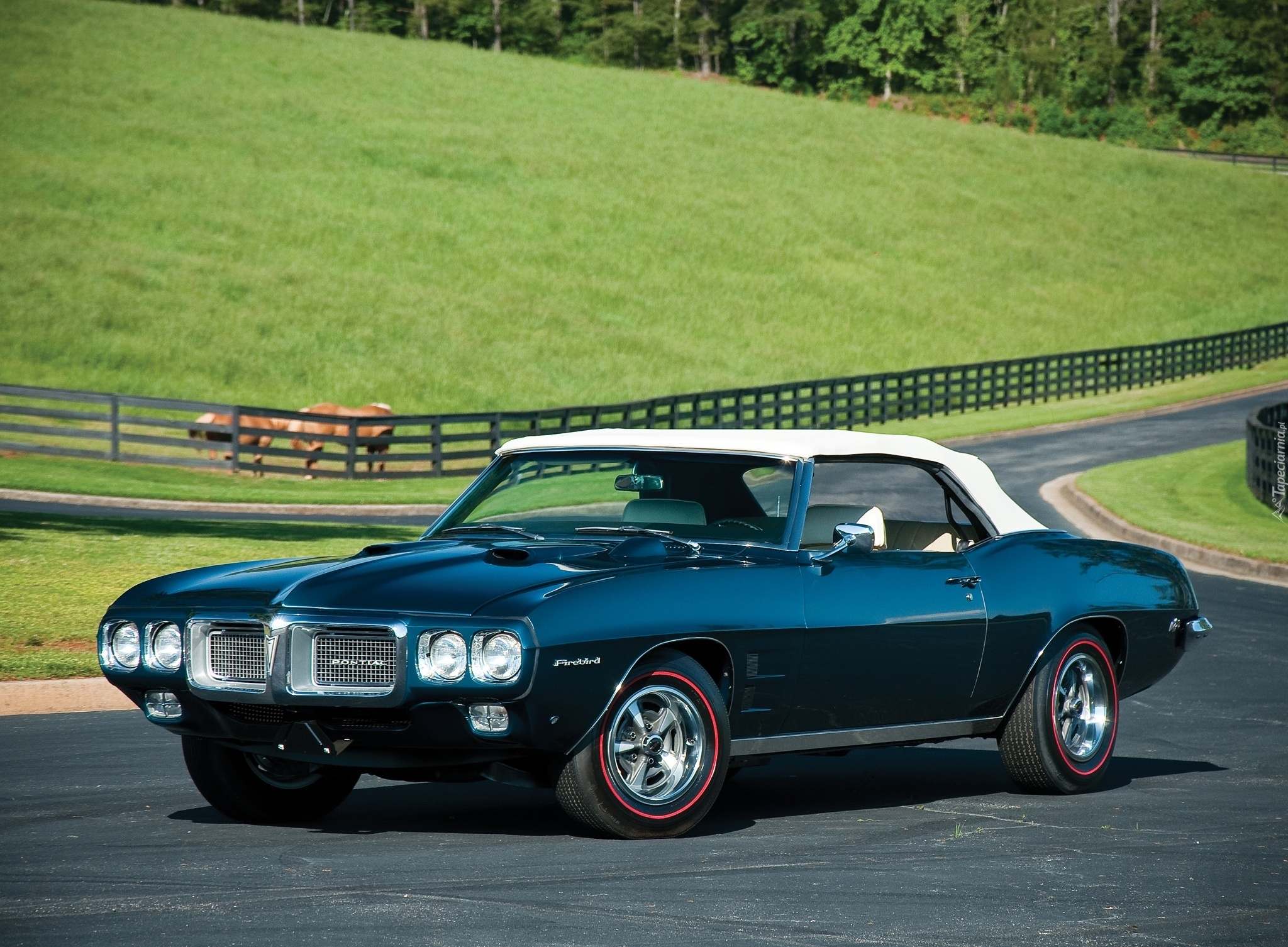 Pontiac Firebird, Cabriolet