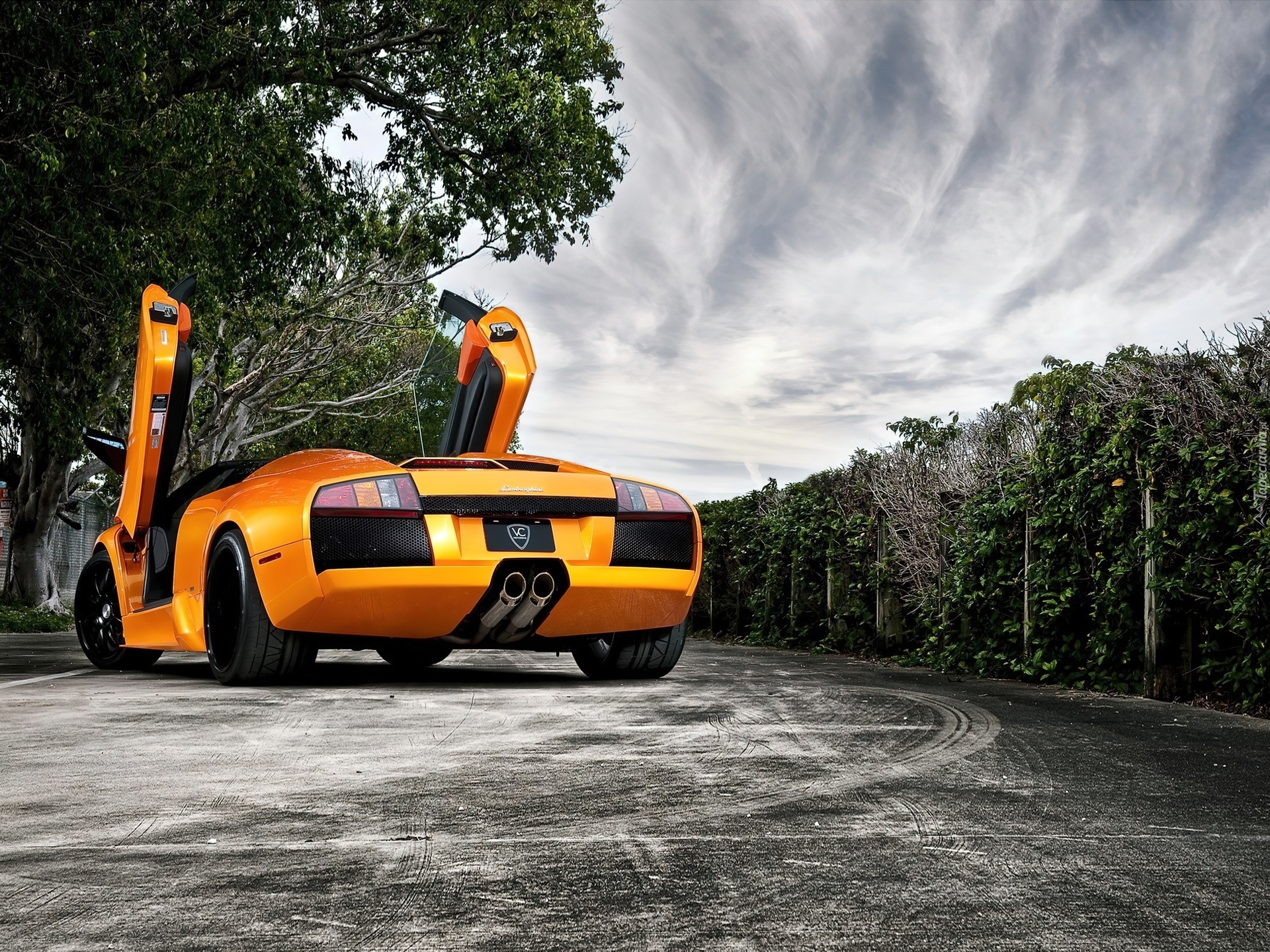 Droga, Drzewa, Lamborghini