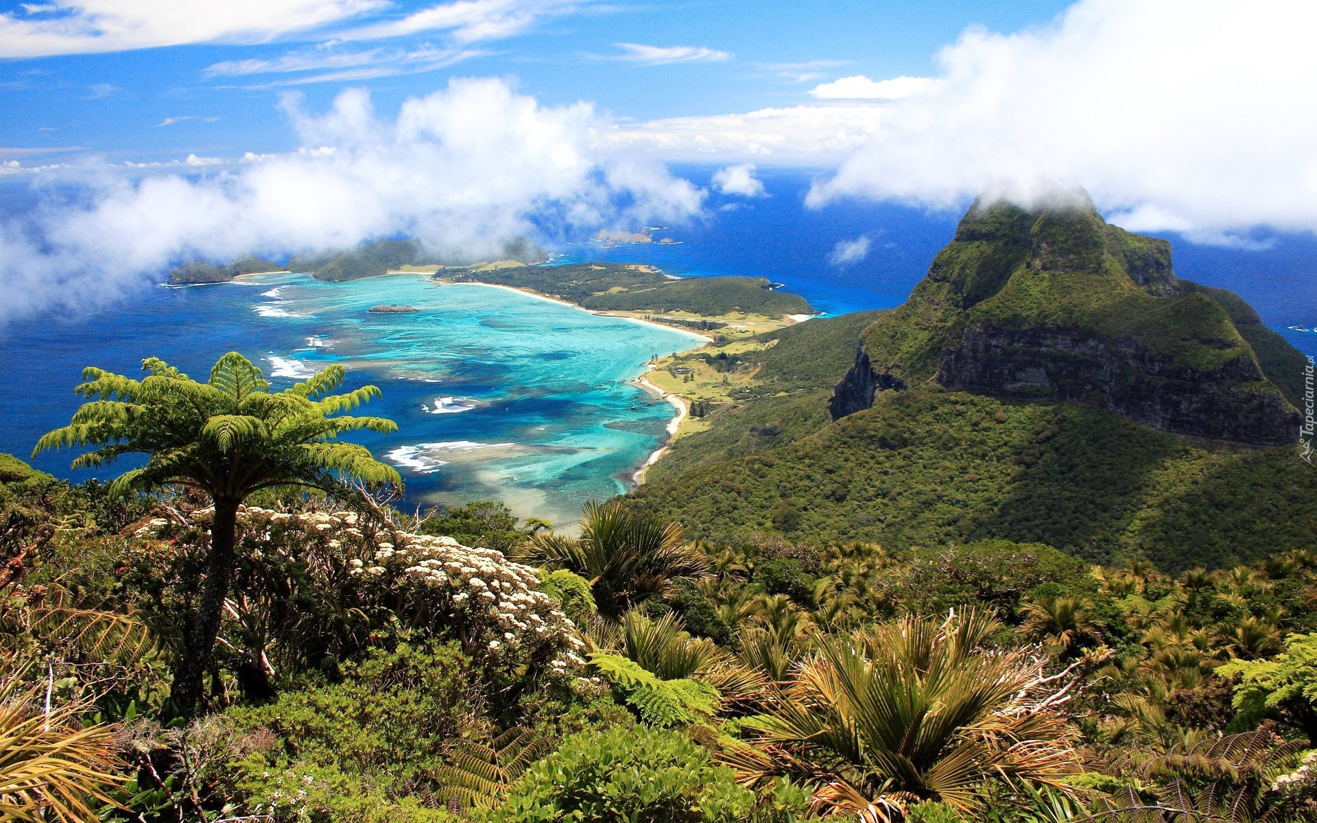 Lord Howe, Wyspa, Wulkaniczna, Australia