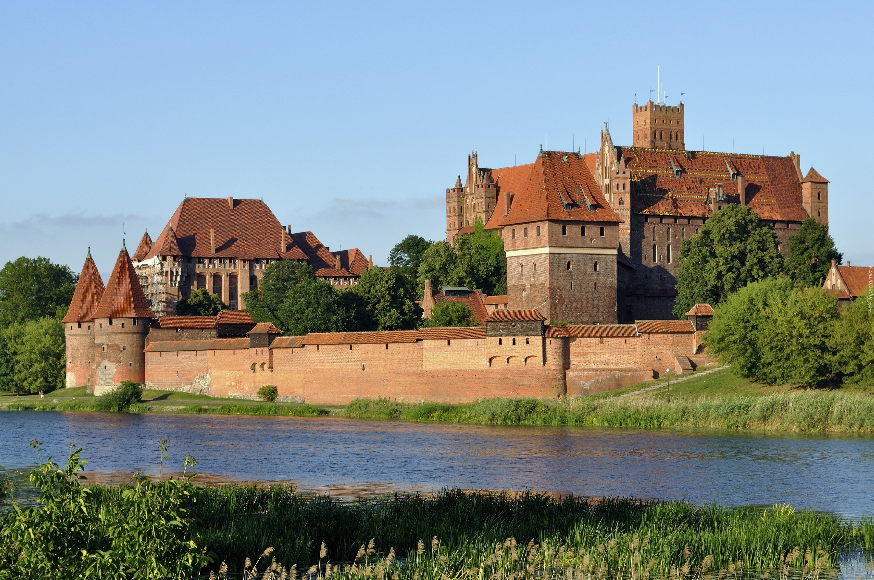 Zamek, Krzyżacki, Malbork, Fosa