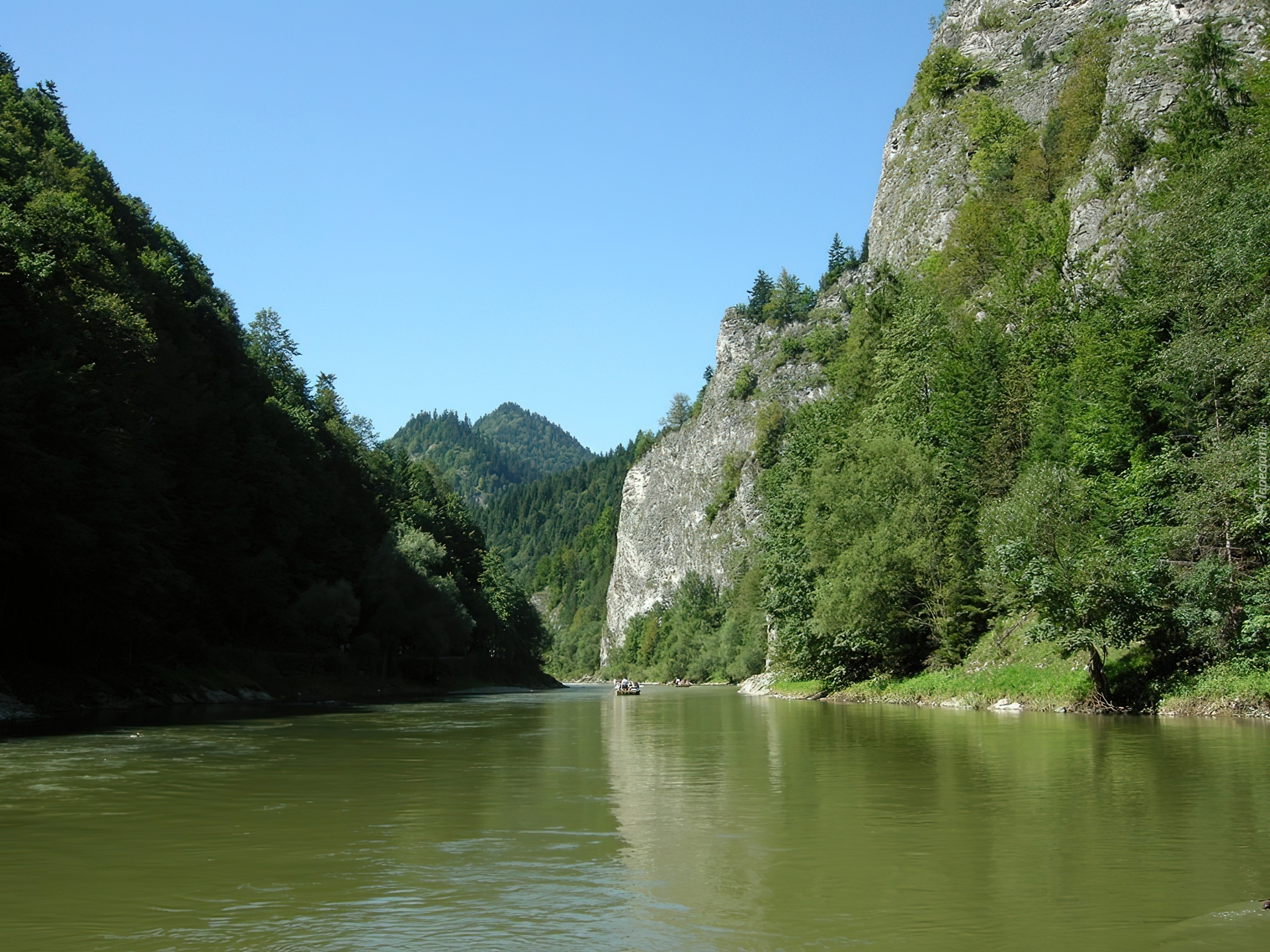 Dunajec, Góry, Drzewa