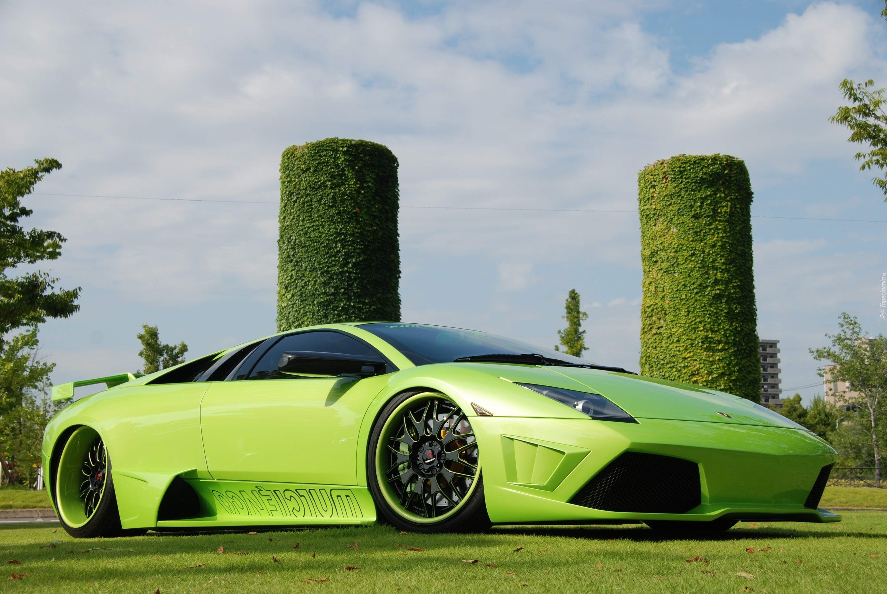 Zielone, Lamborghini