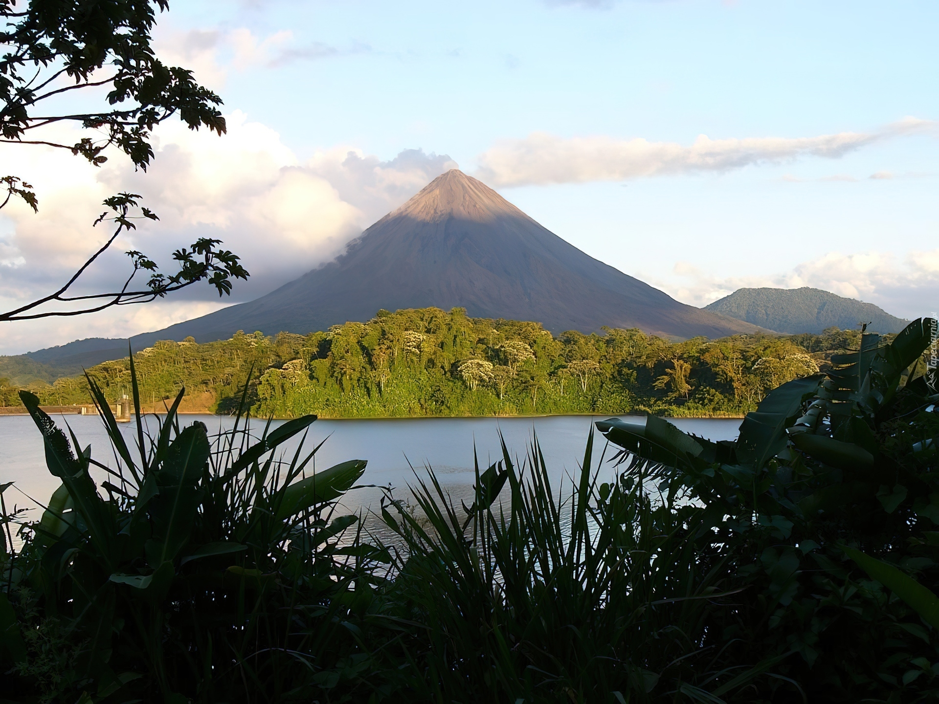 Costa Rica, Woda, Zieleń