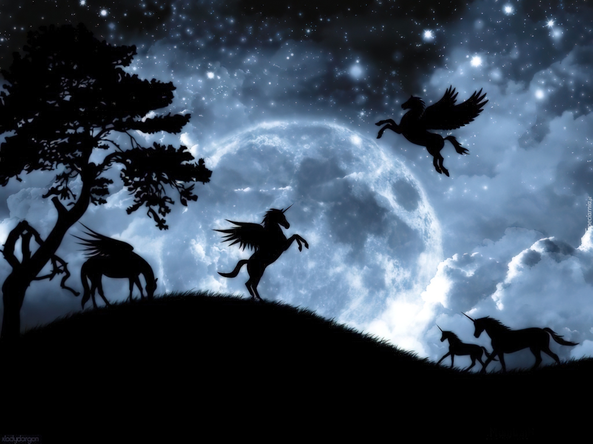 Fantasy, Pegazy