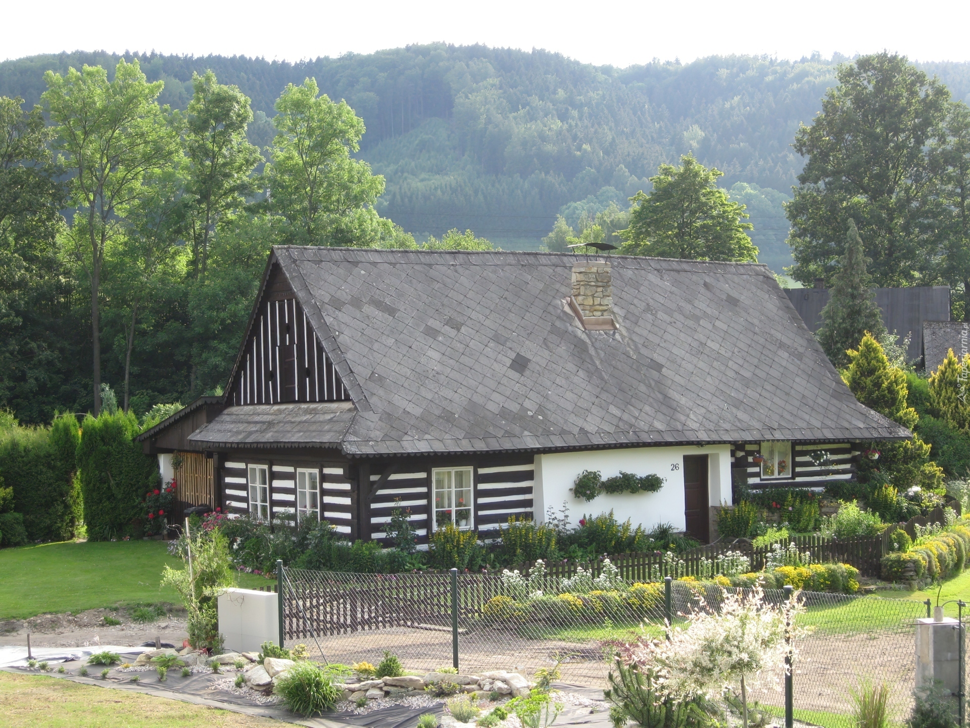 Domek, Ogródek, Drzewa