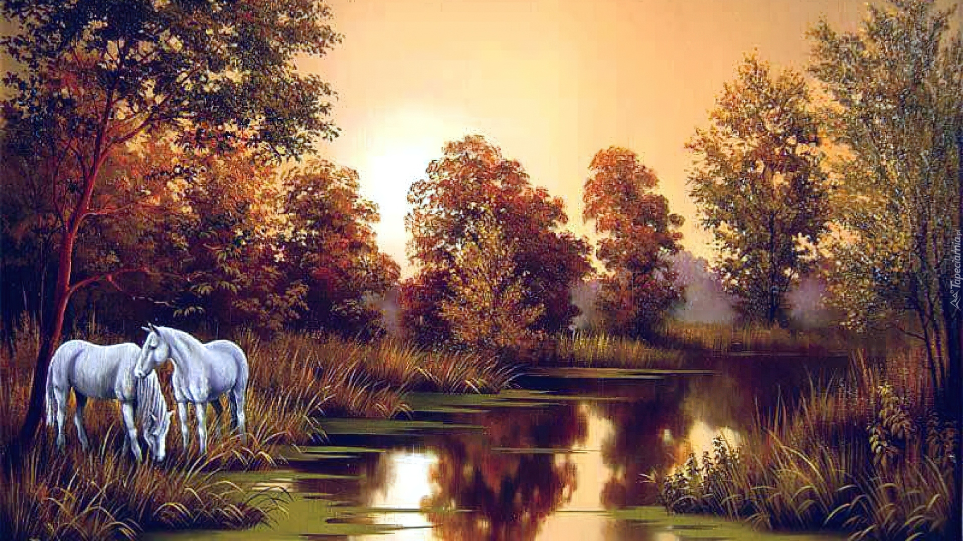 Jesień, Drzewa, Rzeka, Konie
