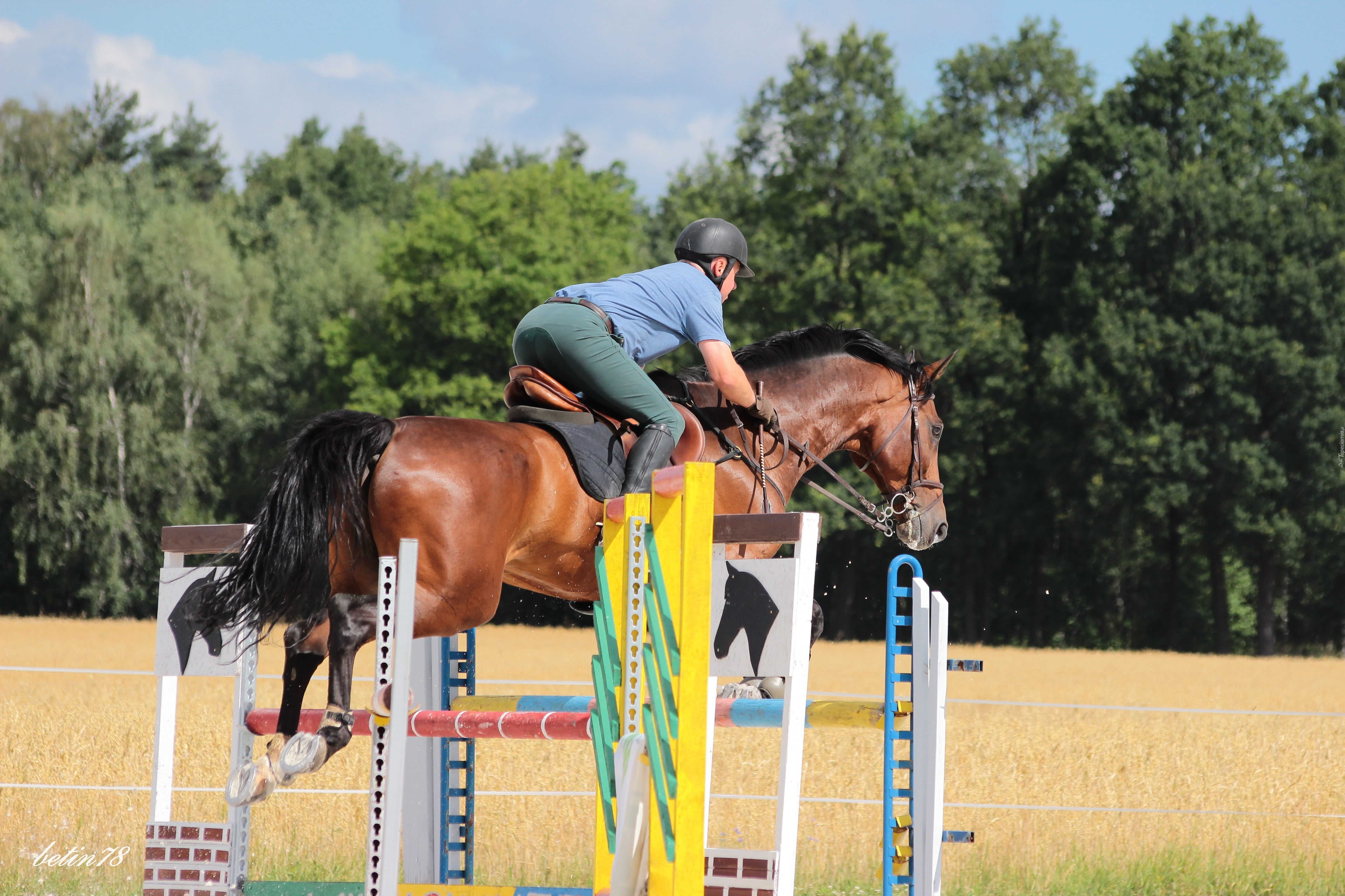 Trening, Koń, Jeździec, Skok, Przeszkoda, Sport