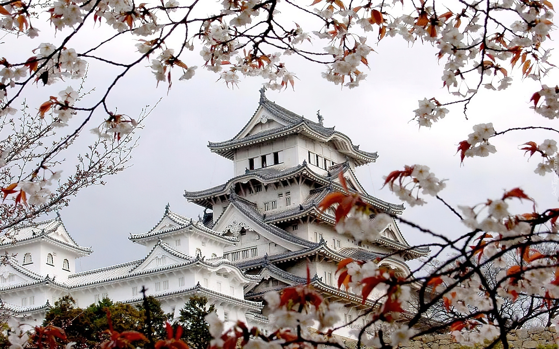 Japońska, Pagoda