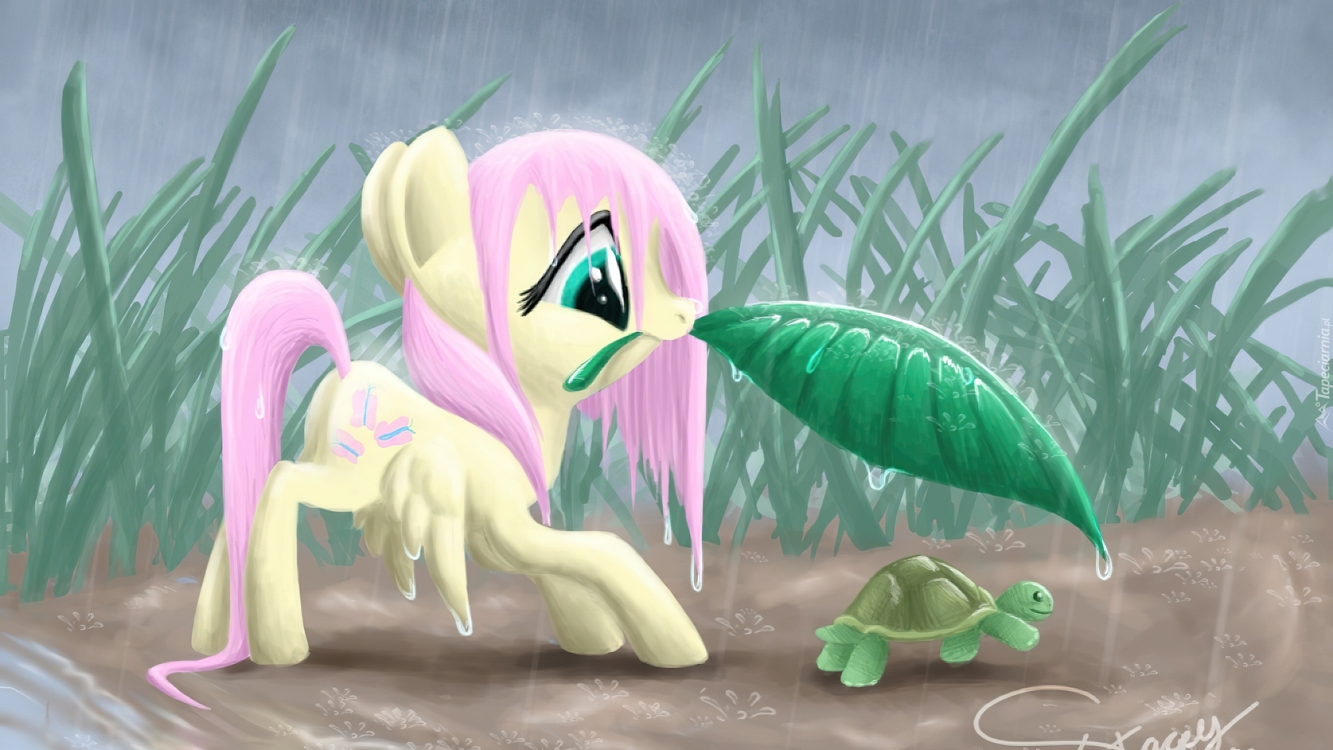 My Little Pony, Przyjaźń To Magia, Fluttershy