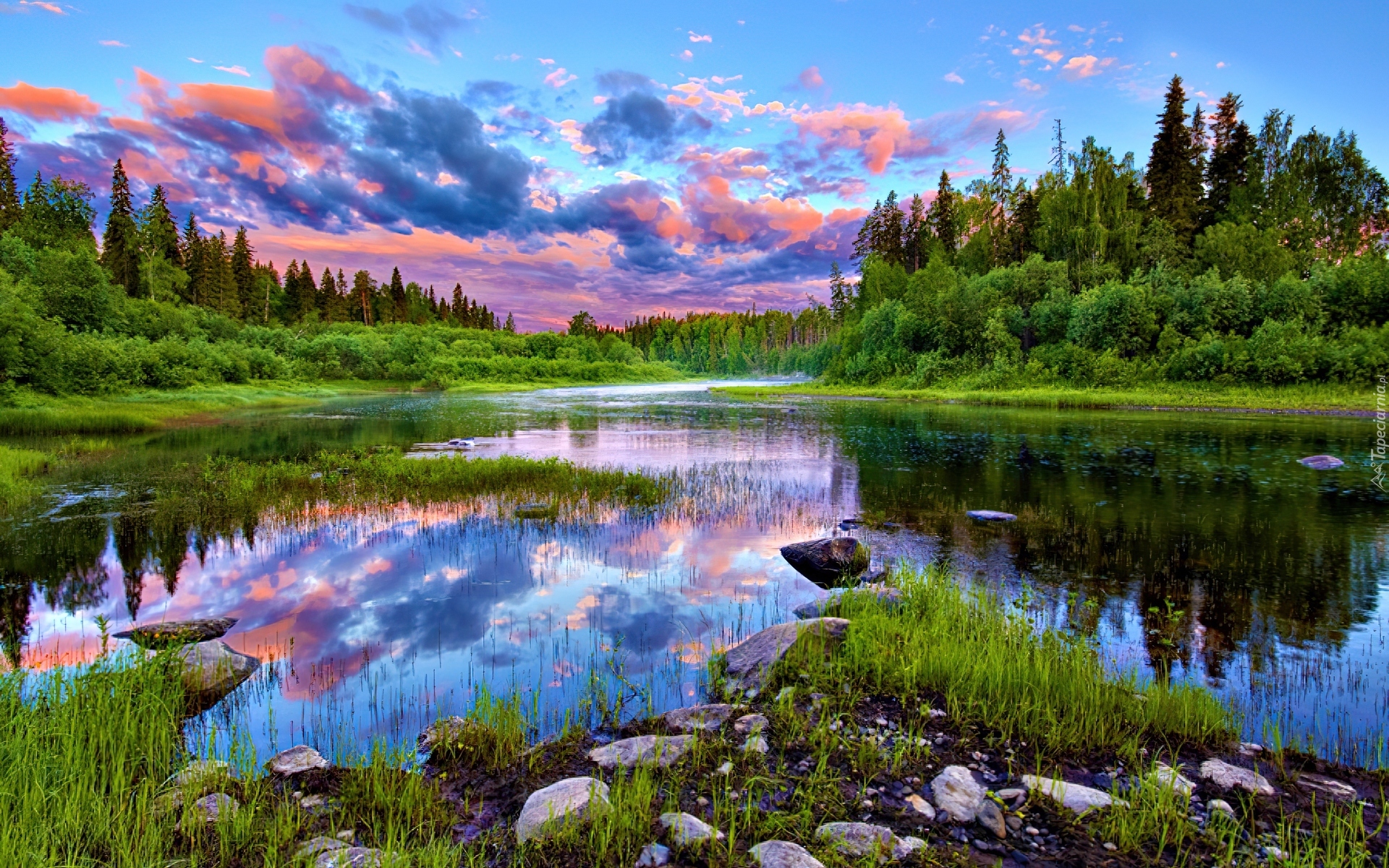 Природа обновилась. Река СОЛЗА Архангельская область. Природа. Природа севера. Красивые пейзажи России.