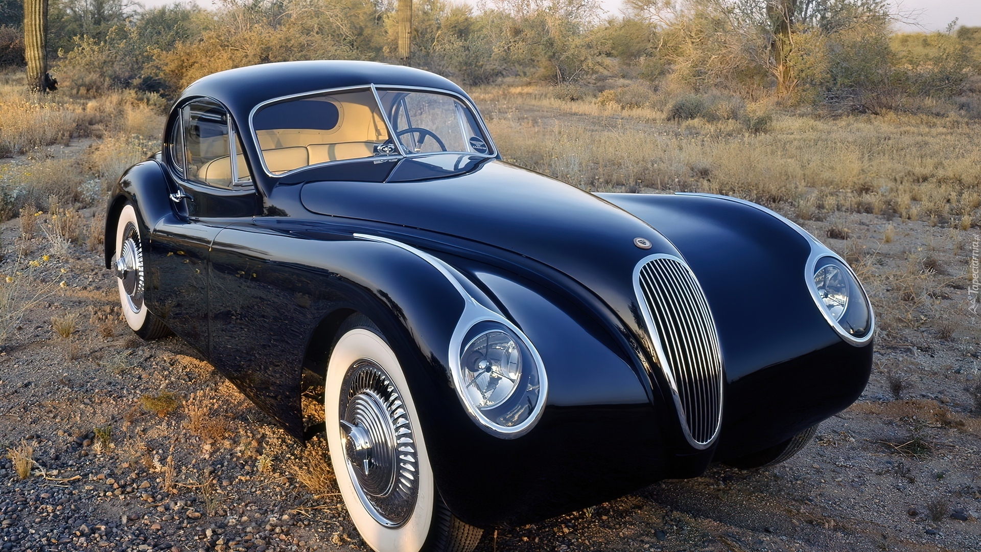 Jaguar, 1953, Klasyk