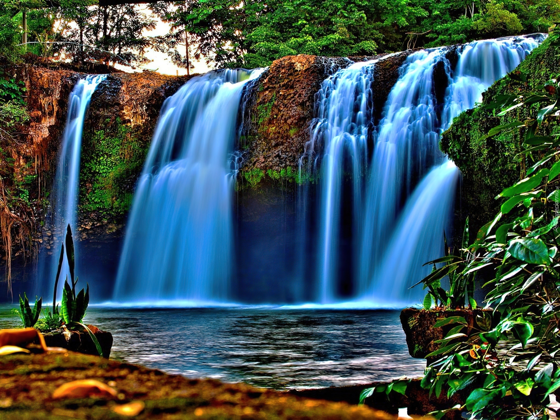 Обои красивые водопады. Красивые водопады. Картинки на рабочий стол водопад. Живая природа водопады. Обои на рабочий стол водопад.