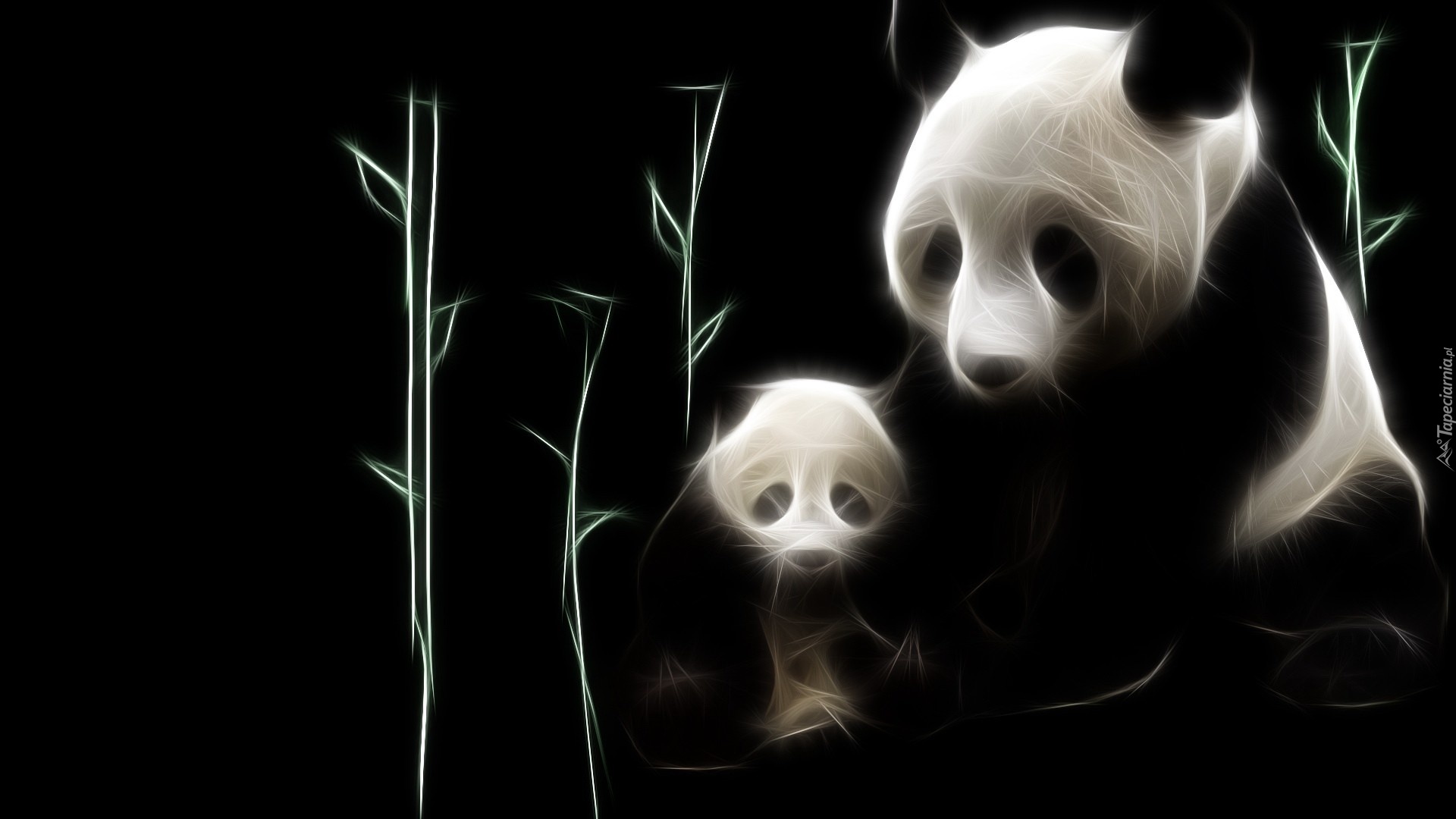 Misie, Panda, Fractalius