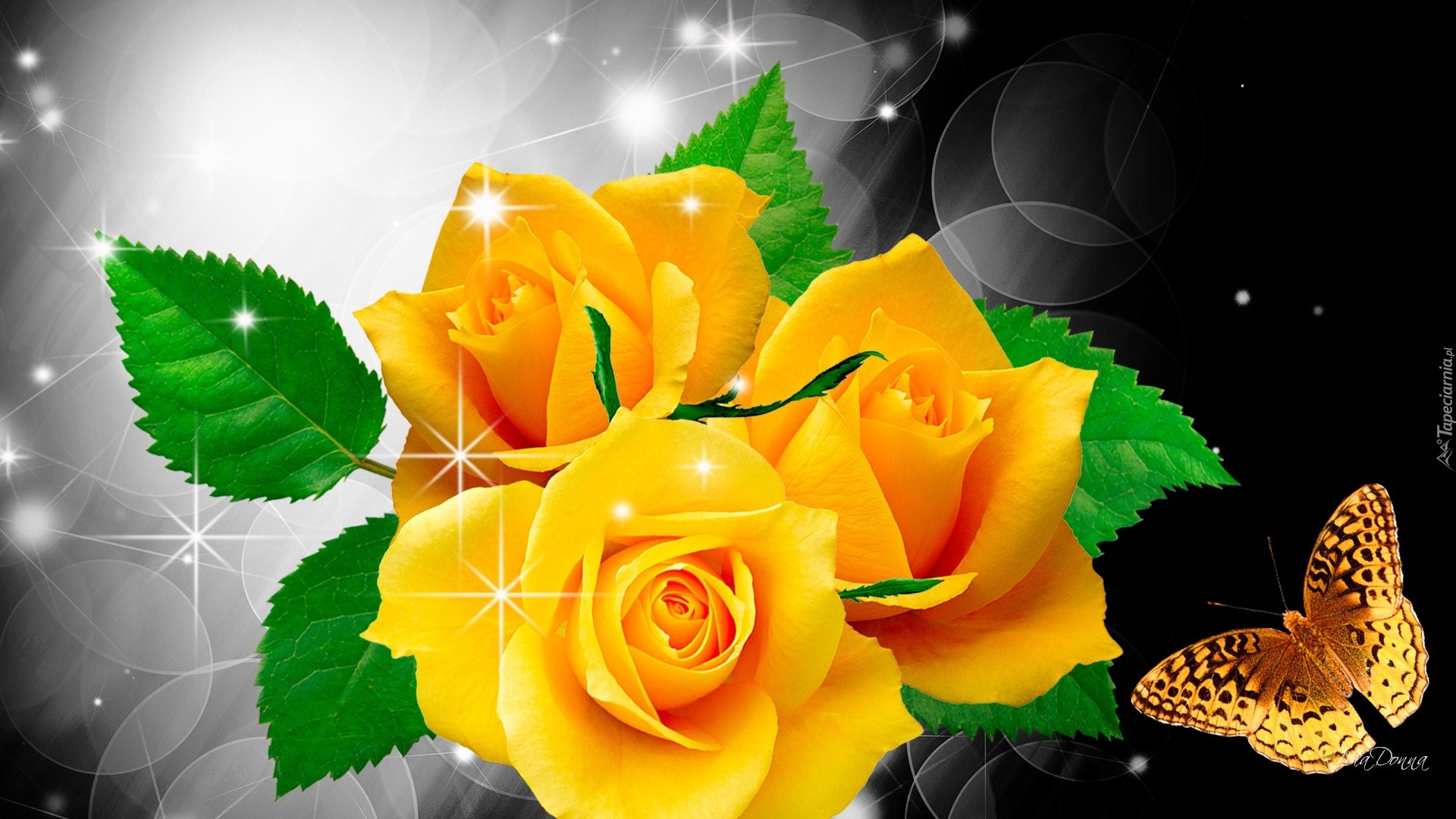 Żółte, Róże, Motyl, Art