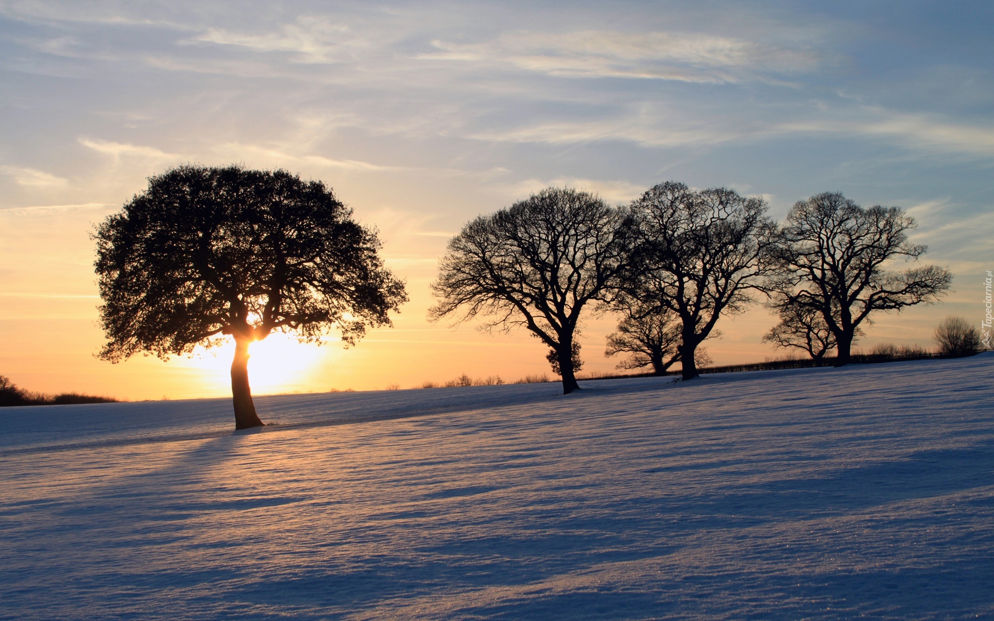 Śnieg, Drzewa, Zachodzące, Słońce