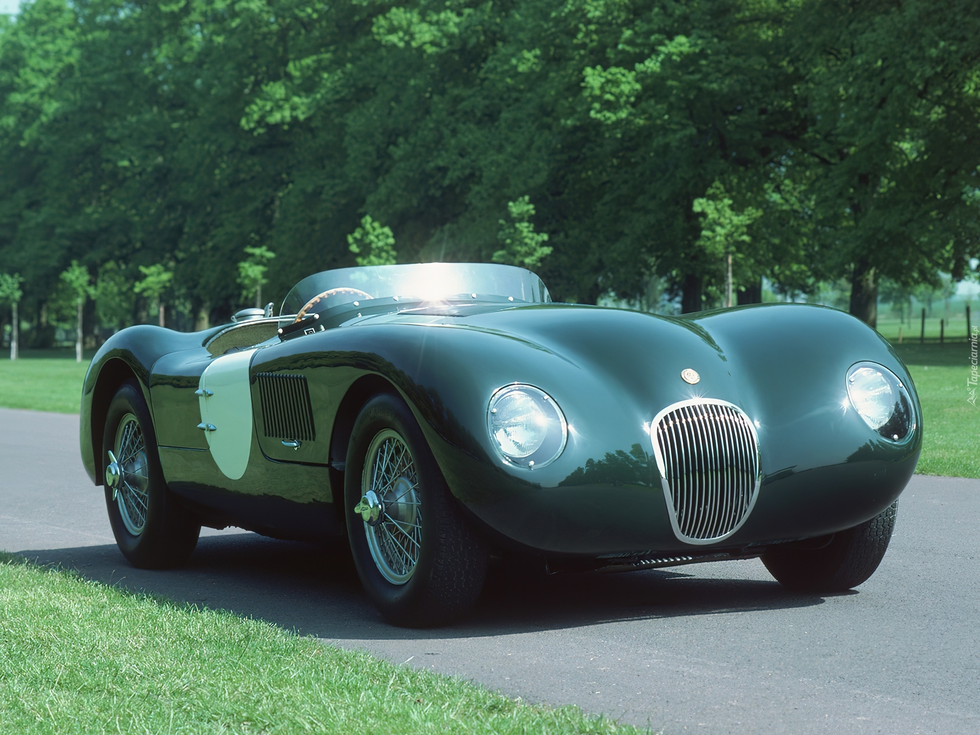 Samochód, Jaguar C-Type, Kabriolet