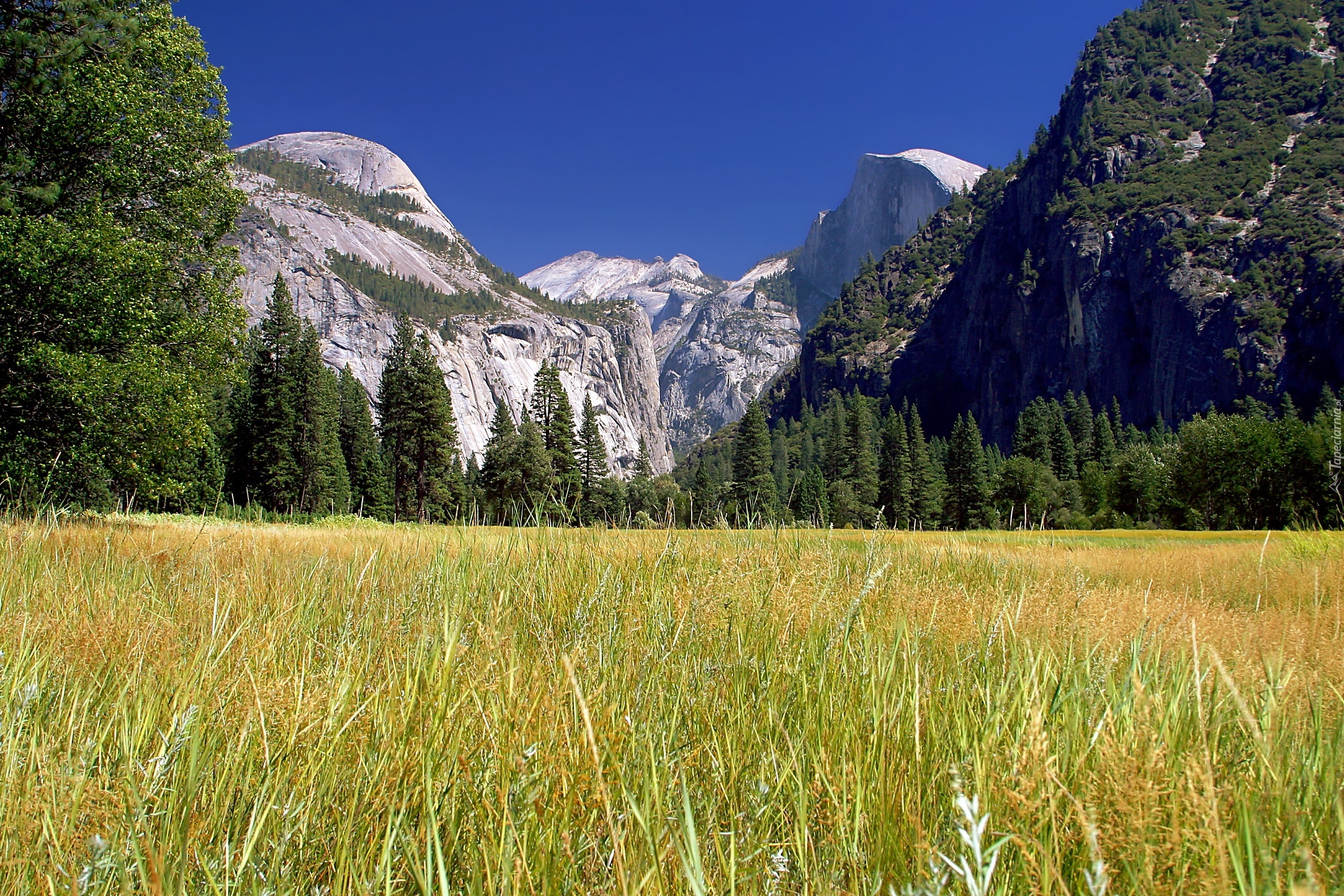 Stany Zjednoczone, Stan Kalifornia, Park Narodowy Yosemite, Góry