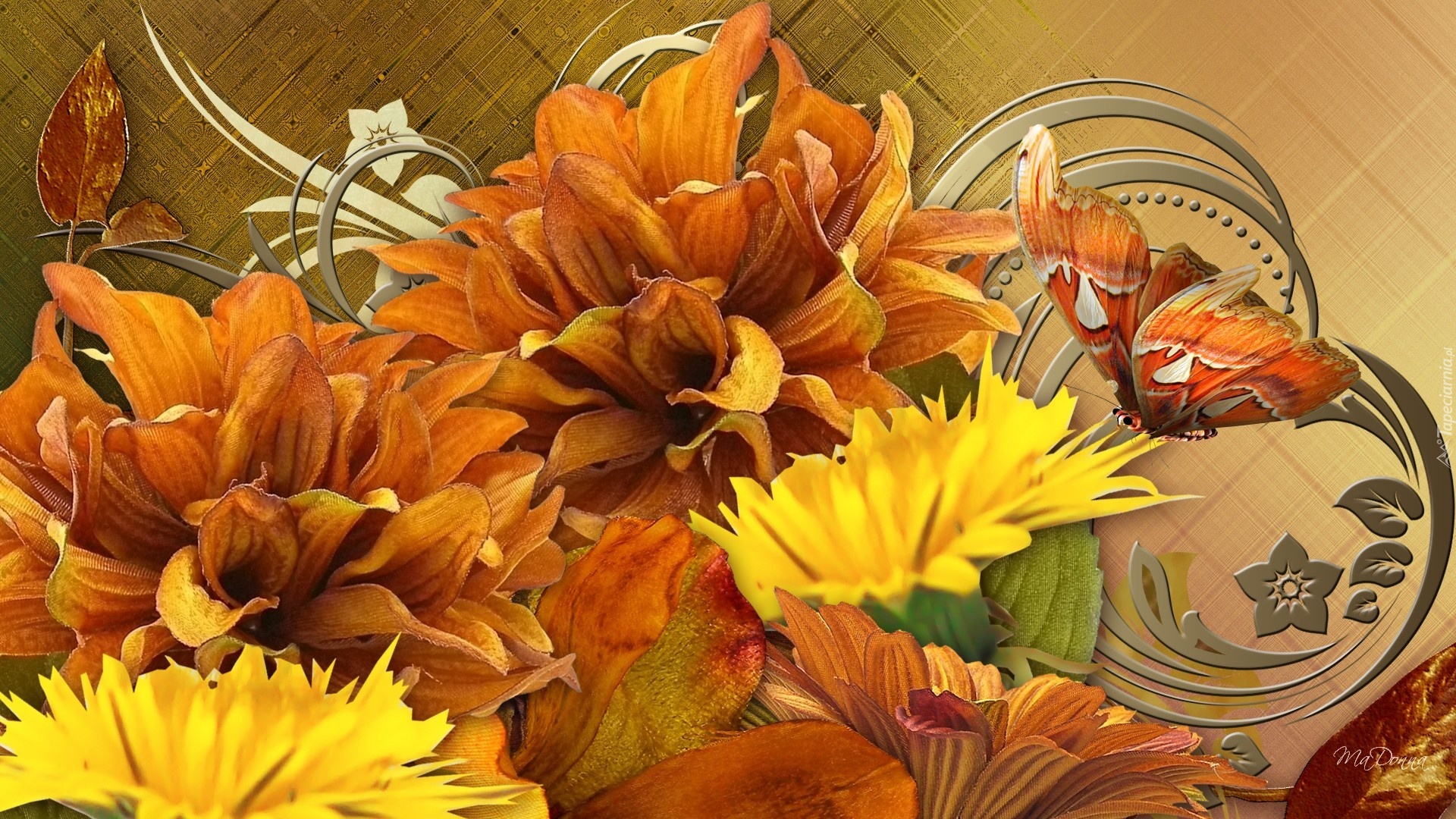 Jesień, Żółte, Pomarańczowe, Kwiaty, Motyl