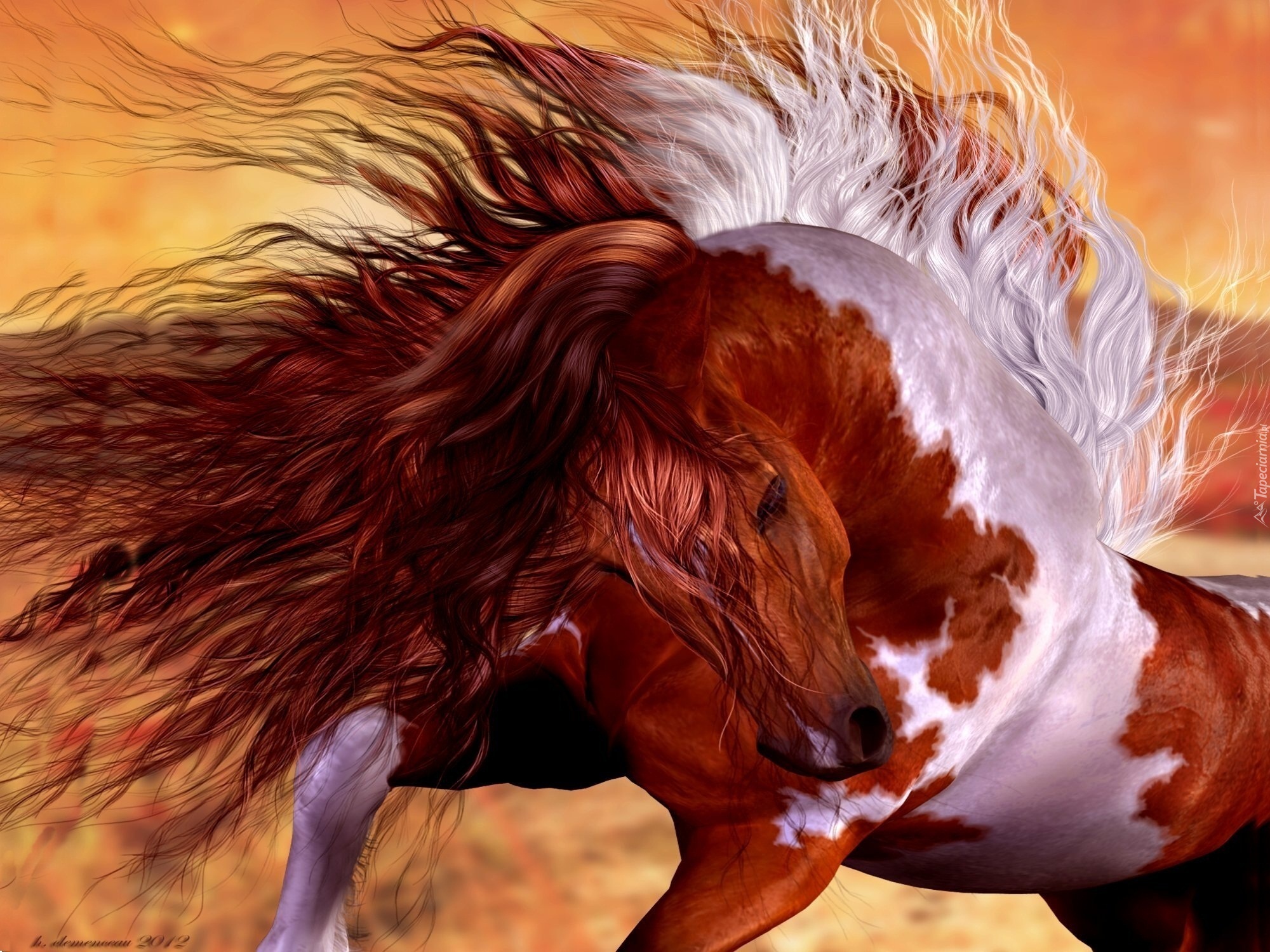 Картинки лошадей на заставку. Гуль конь рыжий. Красивые лошади. Рыжая лошадь. Очень красивые лошади.