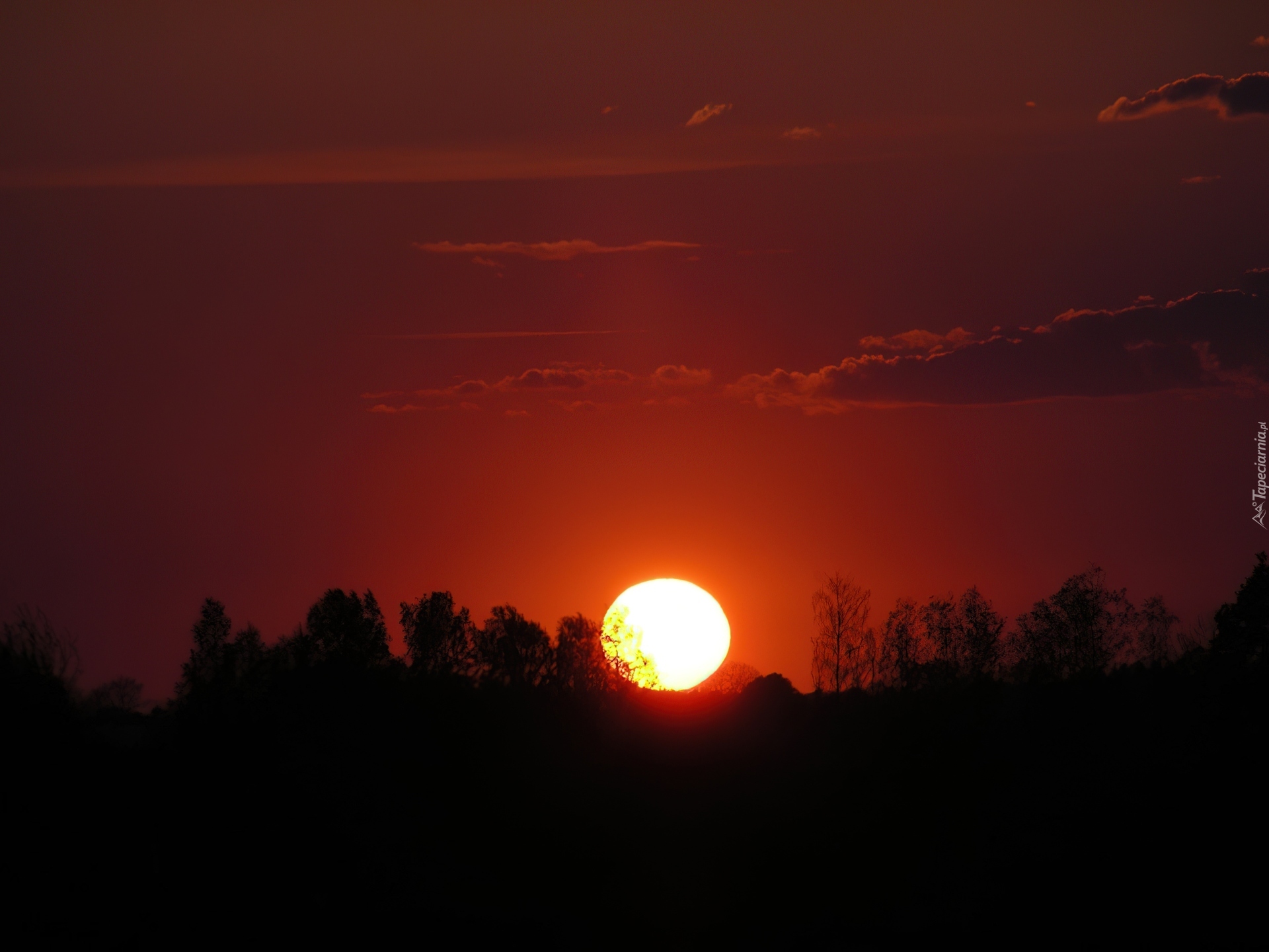 Zachodzące, Słońce, Drzewa, Niebo