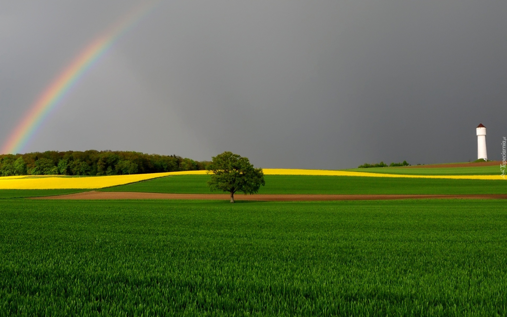 Pola, Tęcza, Drzewo, Wieża