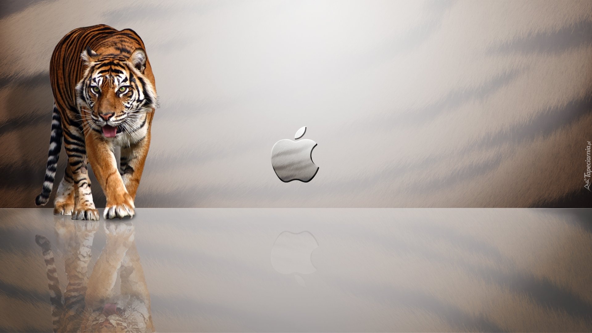Tygrys, Logo, Apple