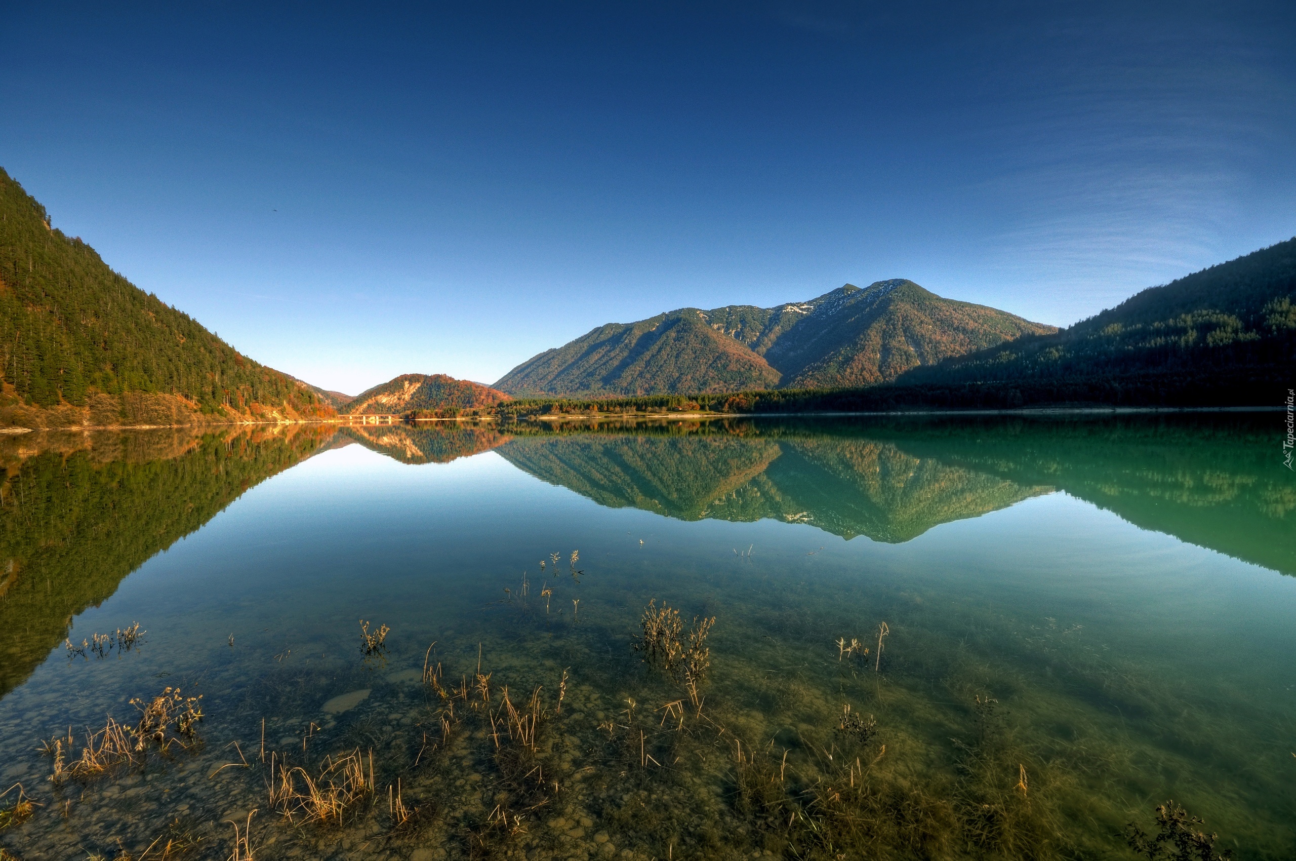 Озеро. Озеро Рица Абхазия. Озеро гёйгёль 5k. Бадукские озера. Озеро Кольсай.