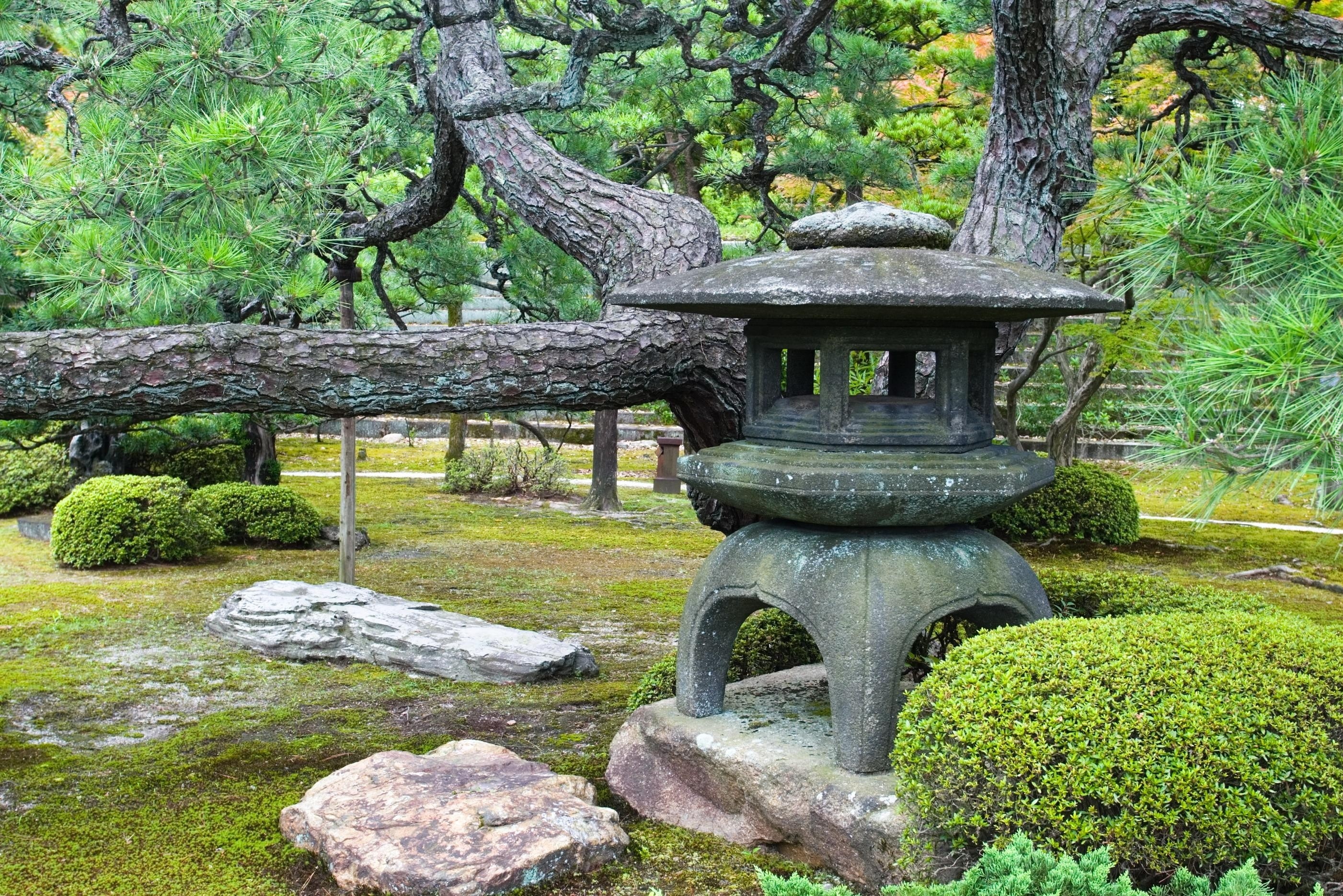 Drzewa, Kamienie, Park, Japonia