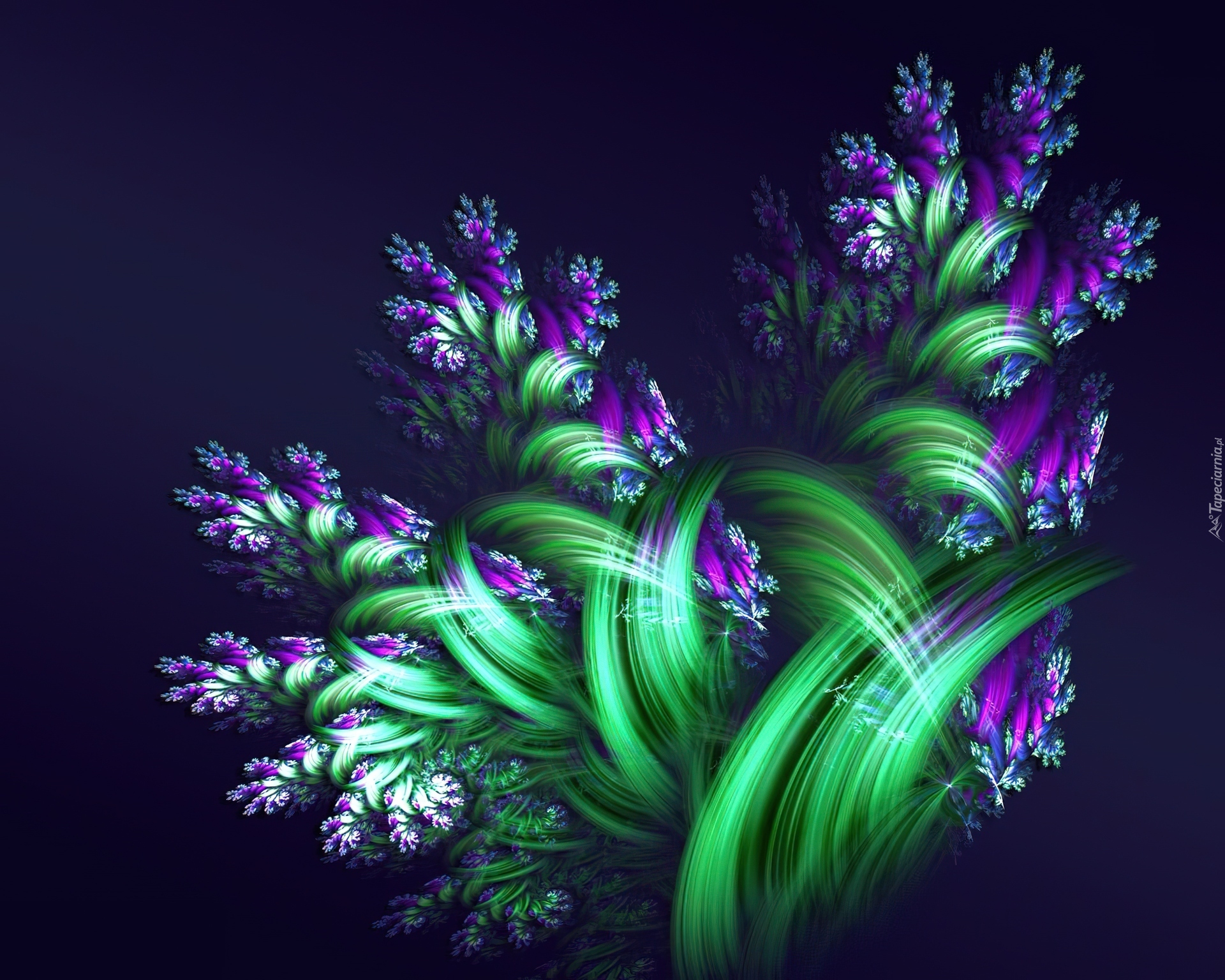Fioletowe, Kwiaty, Grafika Komputerowa