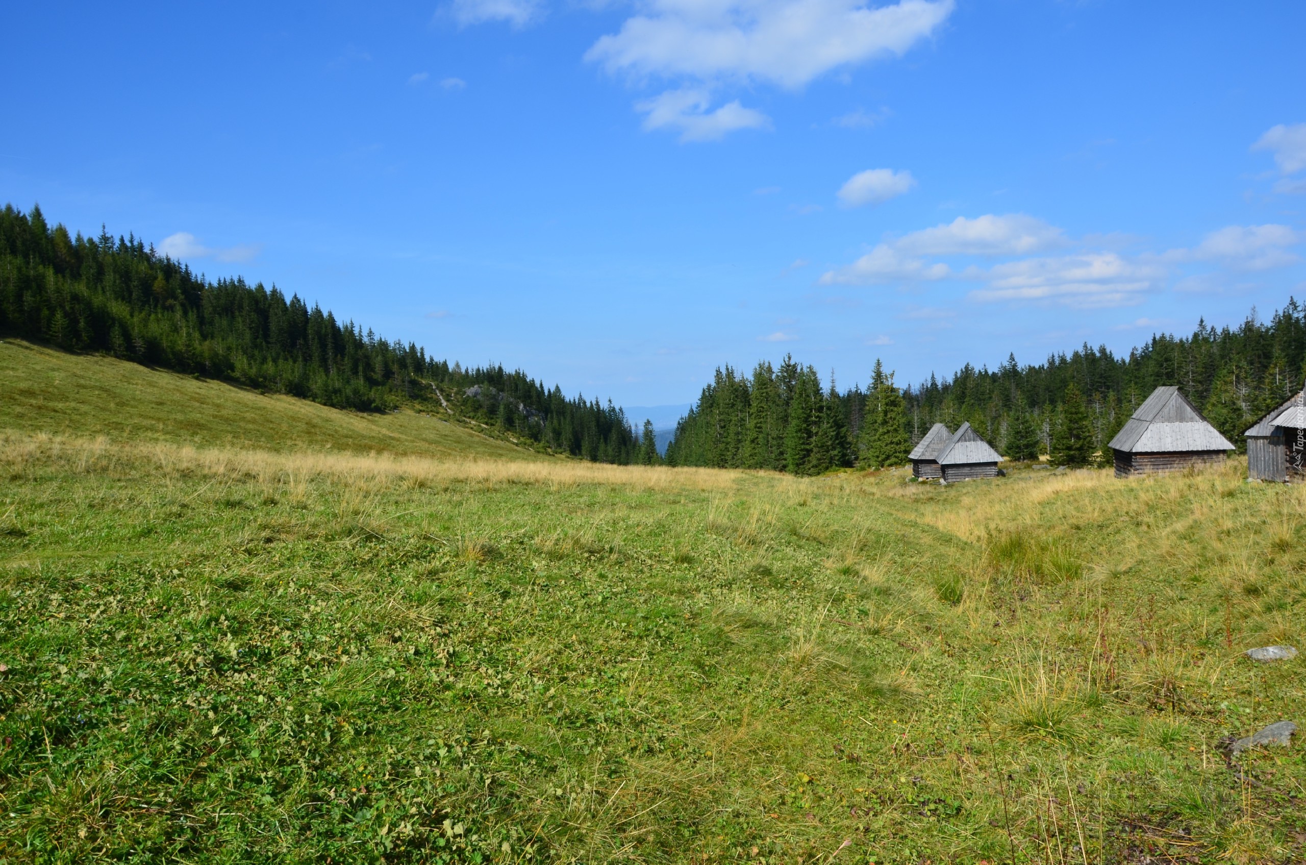 Łąka, Zakopane, Bacówka