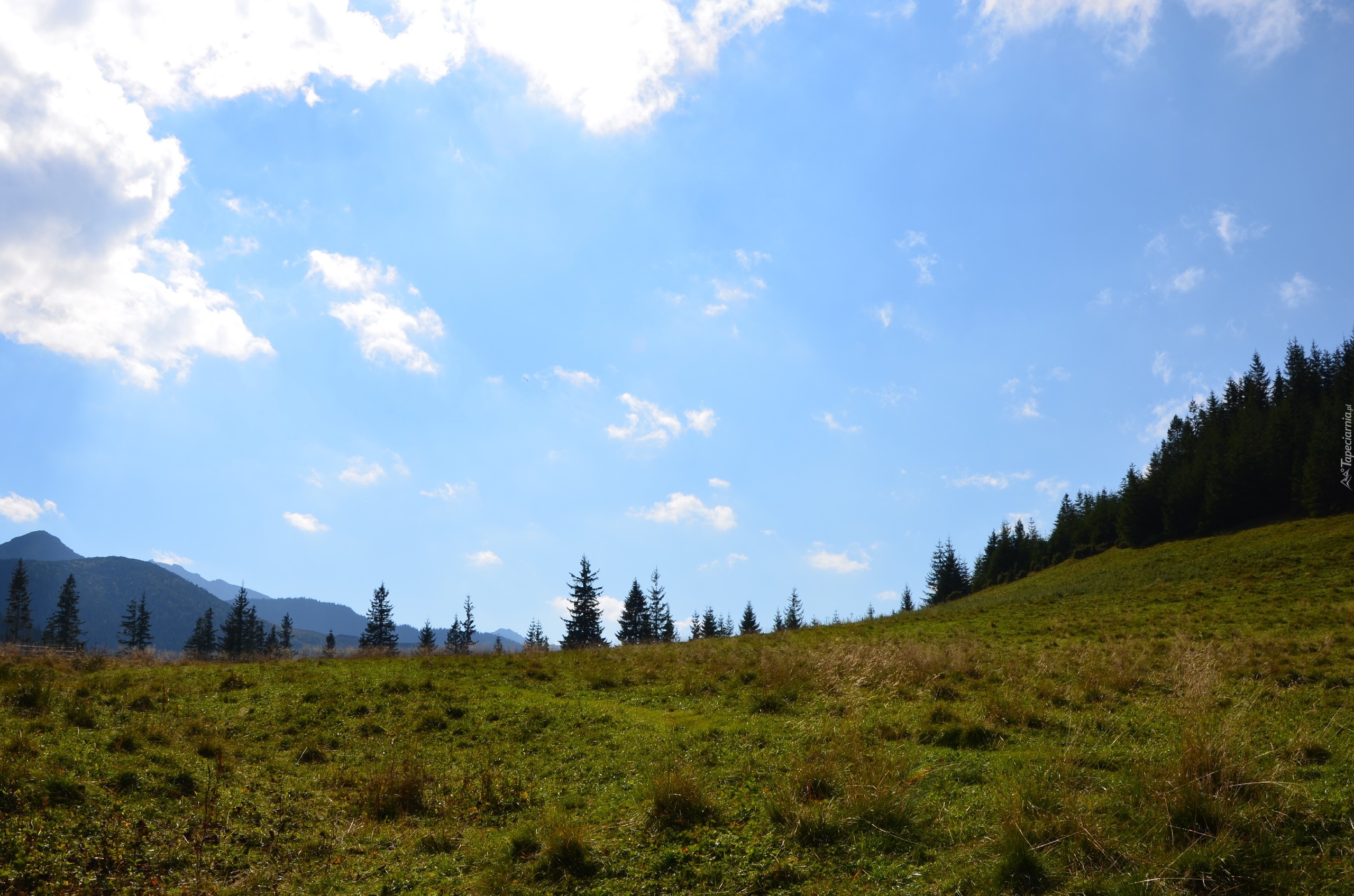 Łąka, Zakopane, Niebo