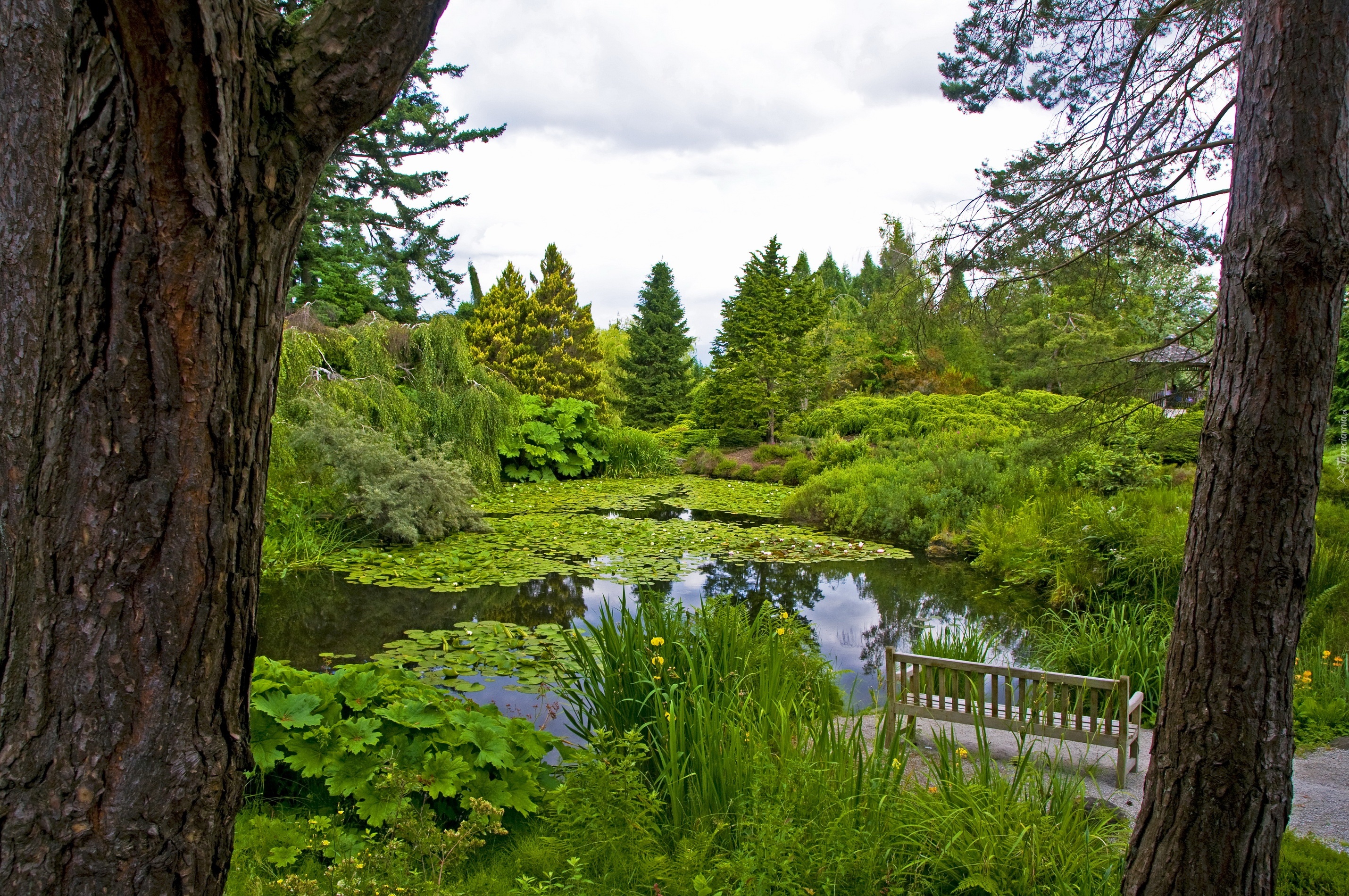 Ogród, Botaniczny